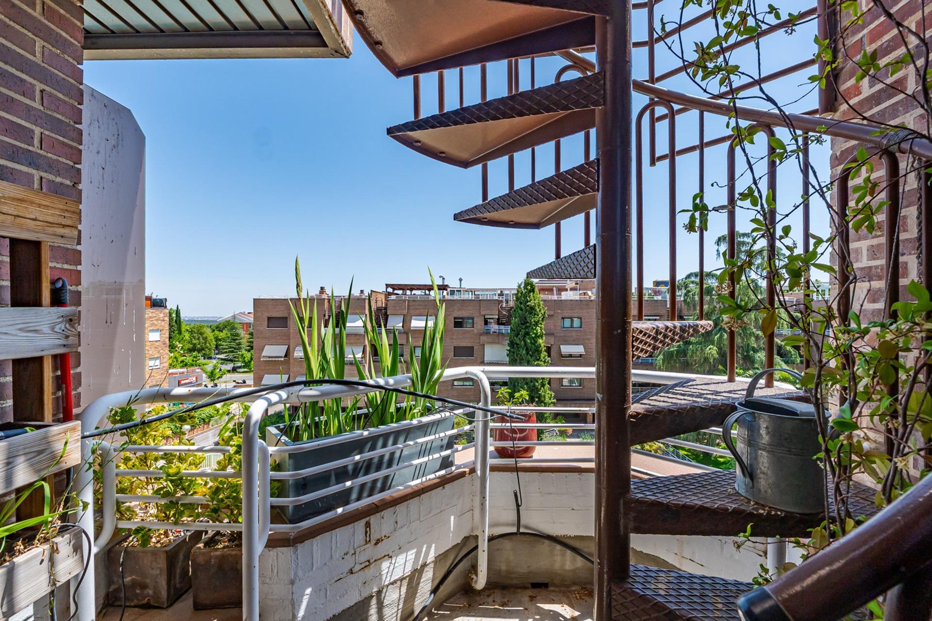 Pisos-Venta-Pozuelo de AlarcÃ³n-2411762-Foto-59