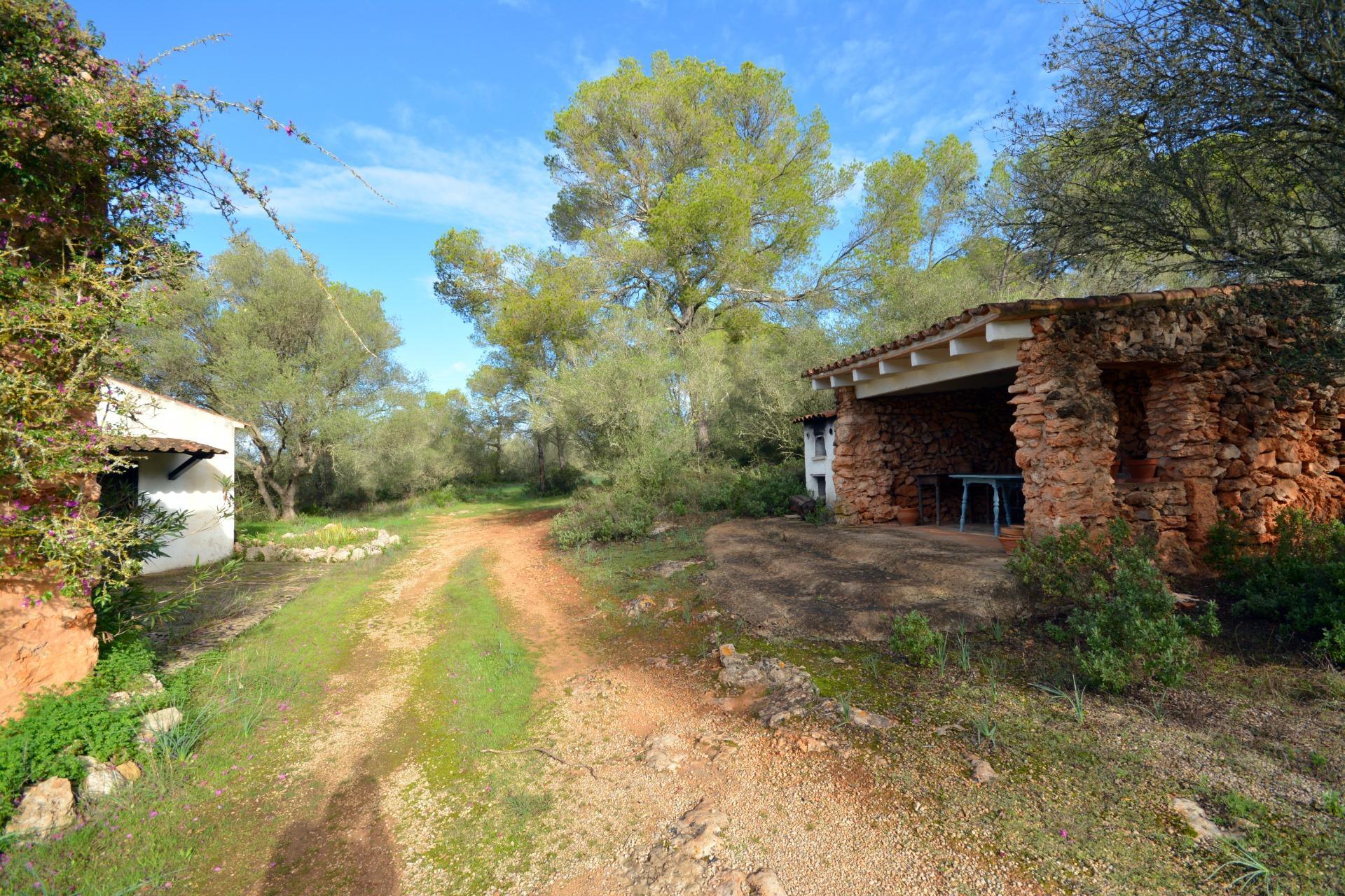 Pisos-Venta-Palma de Mallorca-1993604-Foto-6