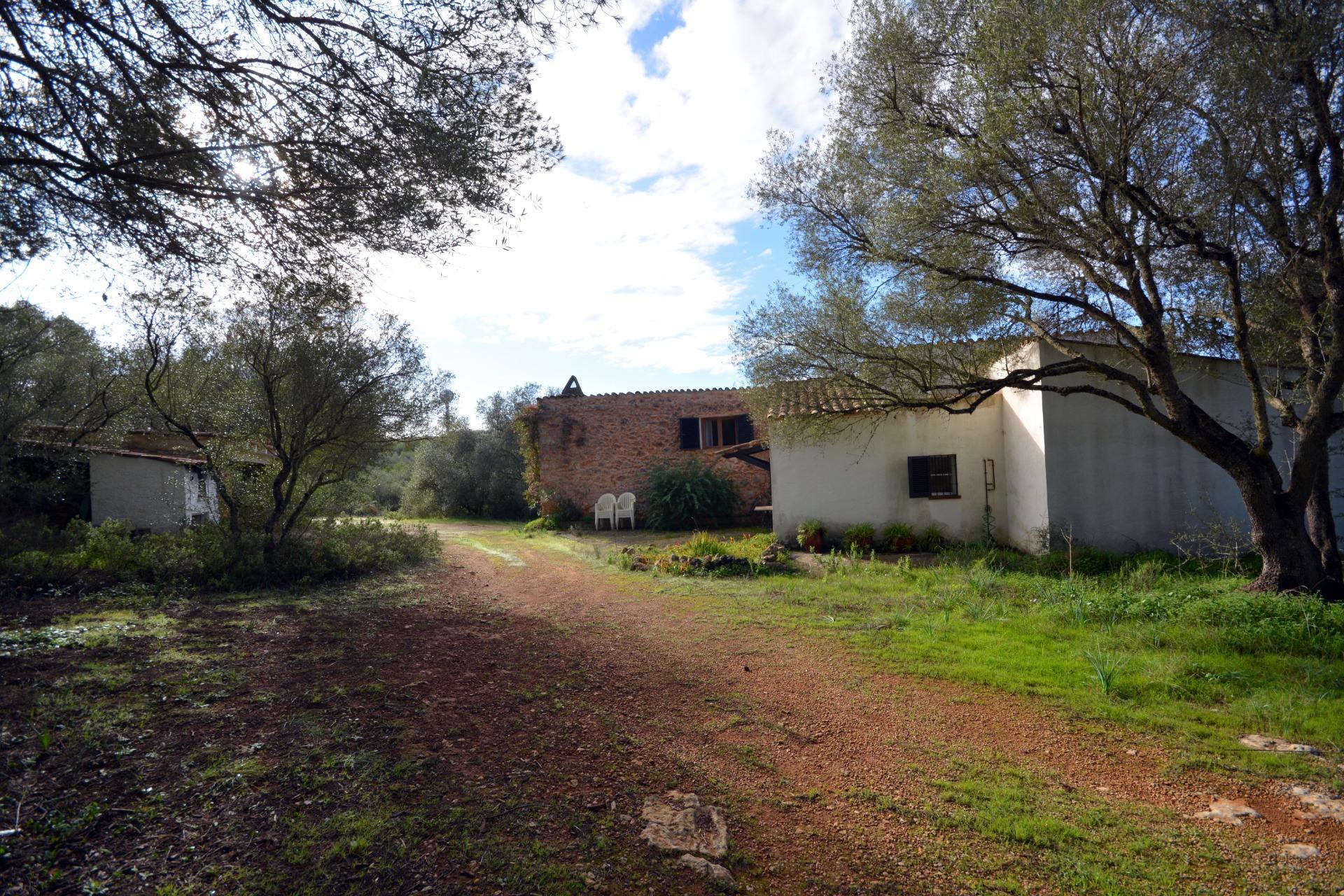 Pisos-Venta-Palma de Mallorca-1993604-Foto-40
