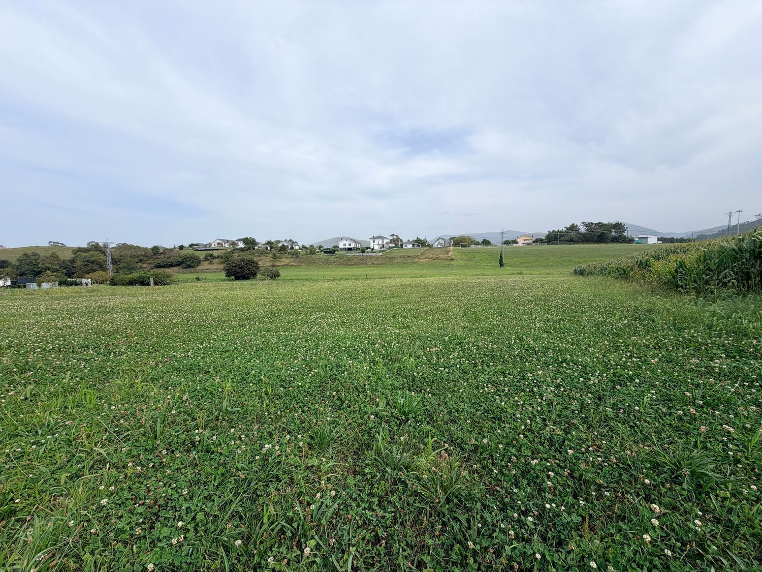 Fincas y solares-Venta-Valdés-2417957
