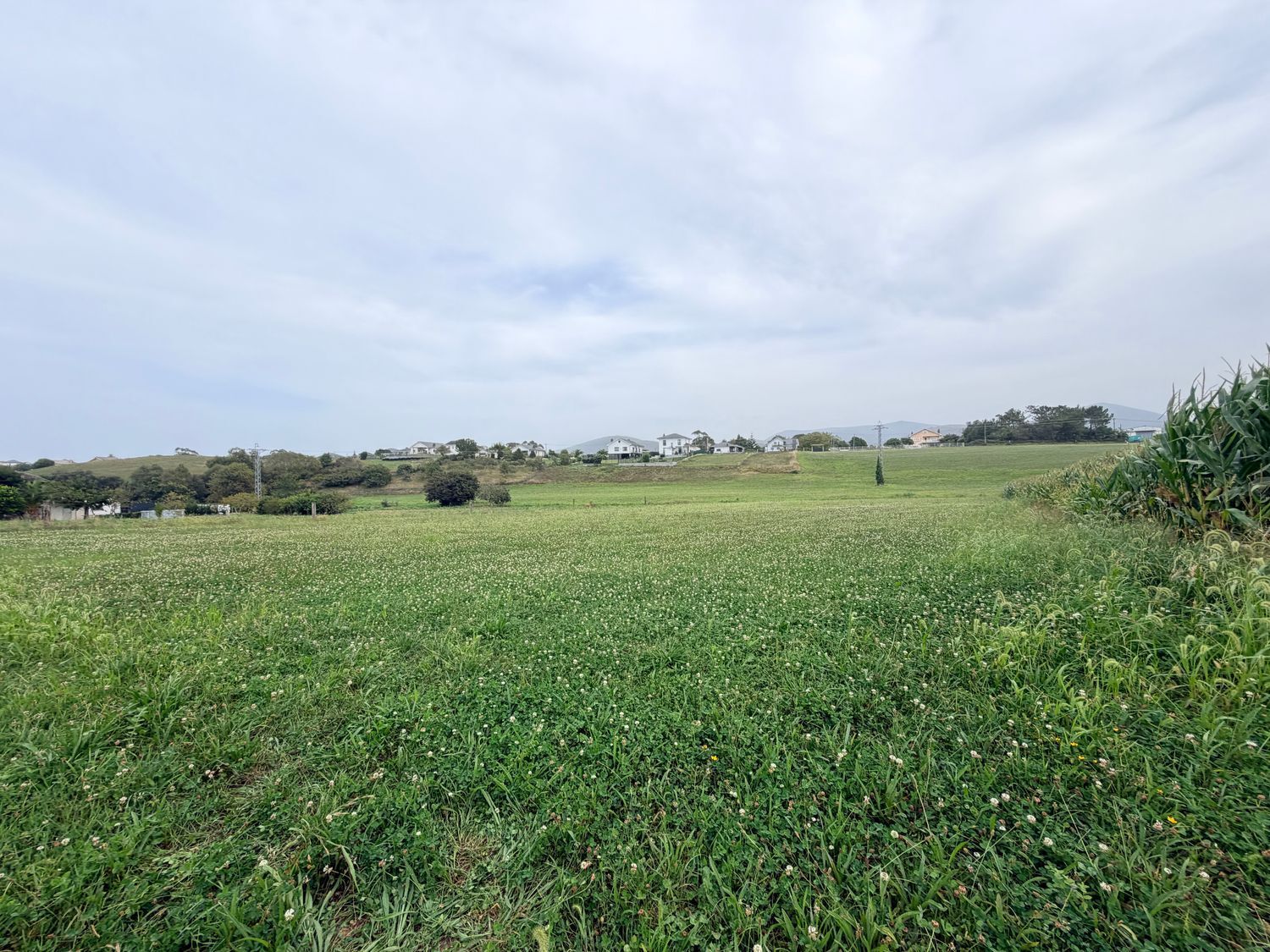 Fincas y solares-Venta-ValdÃ©s-2417957-Foto-3