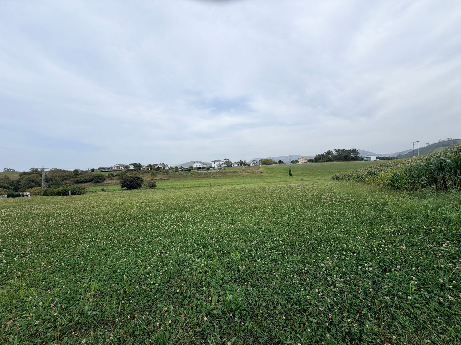 Fincas y solares-Venta-ValdÃ©s-2417957-Foto-2