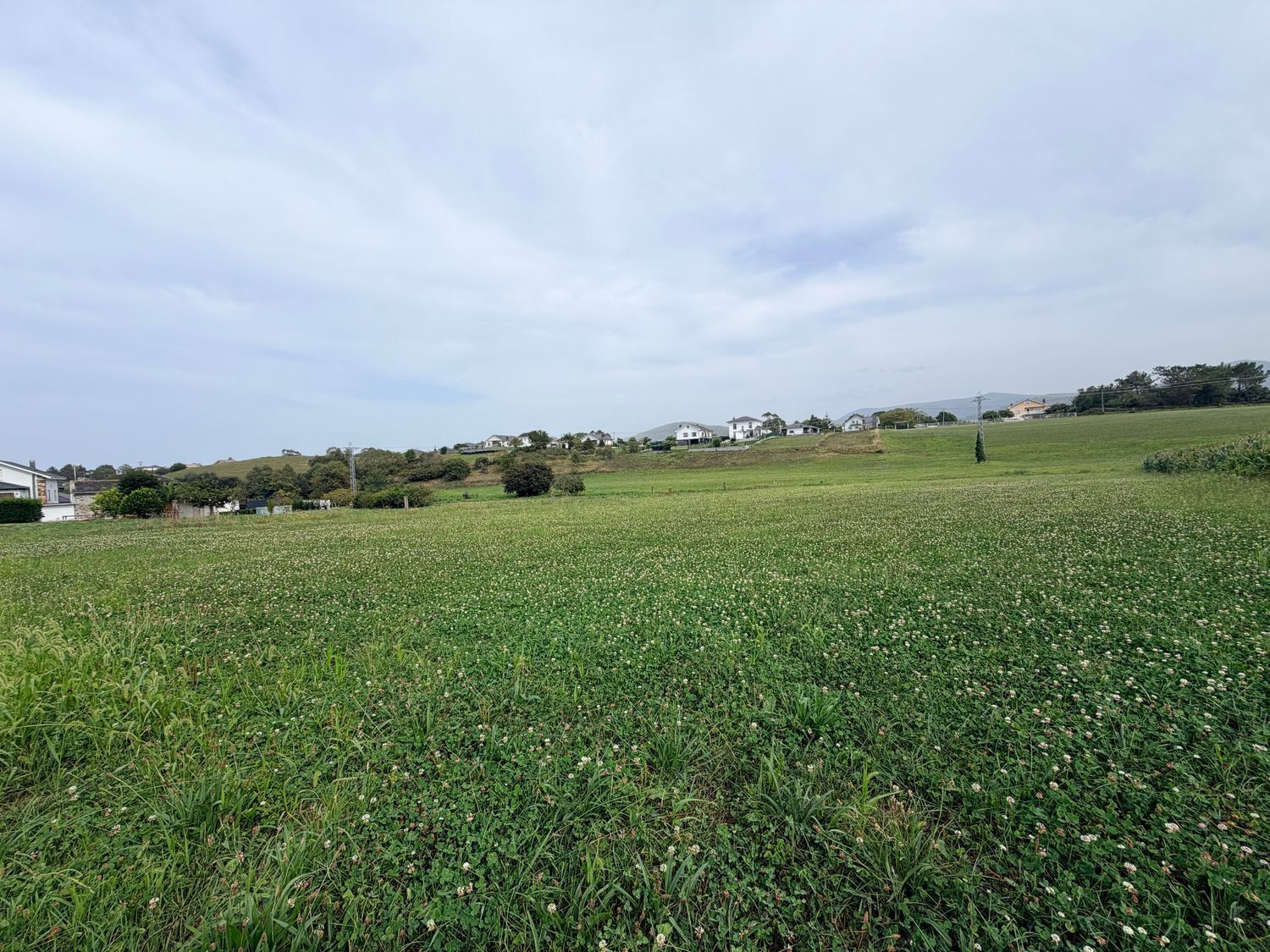 Fincas y solares-Venta-ValdÃ©s-2417957-Foto-6