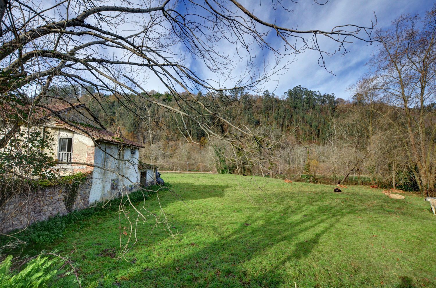 Casas o chalets-Venta-PiloÃ±a-2032742-Foto-8