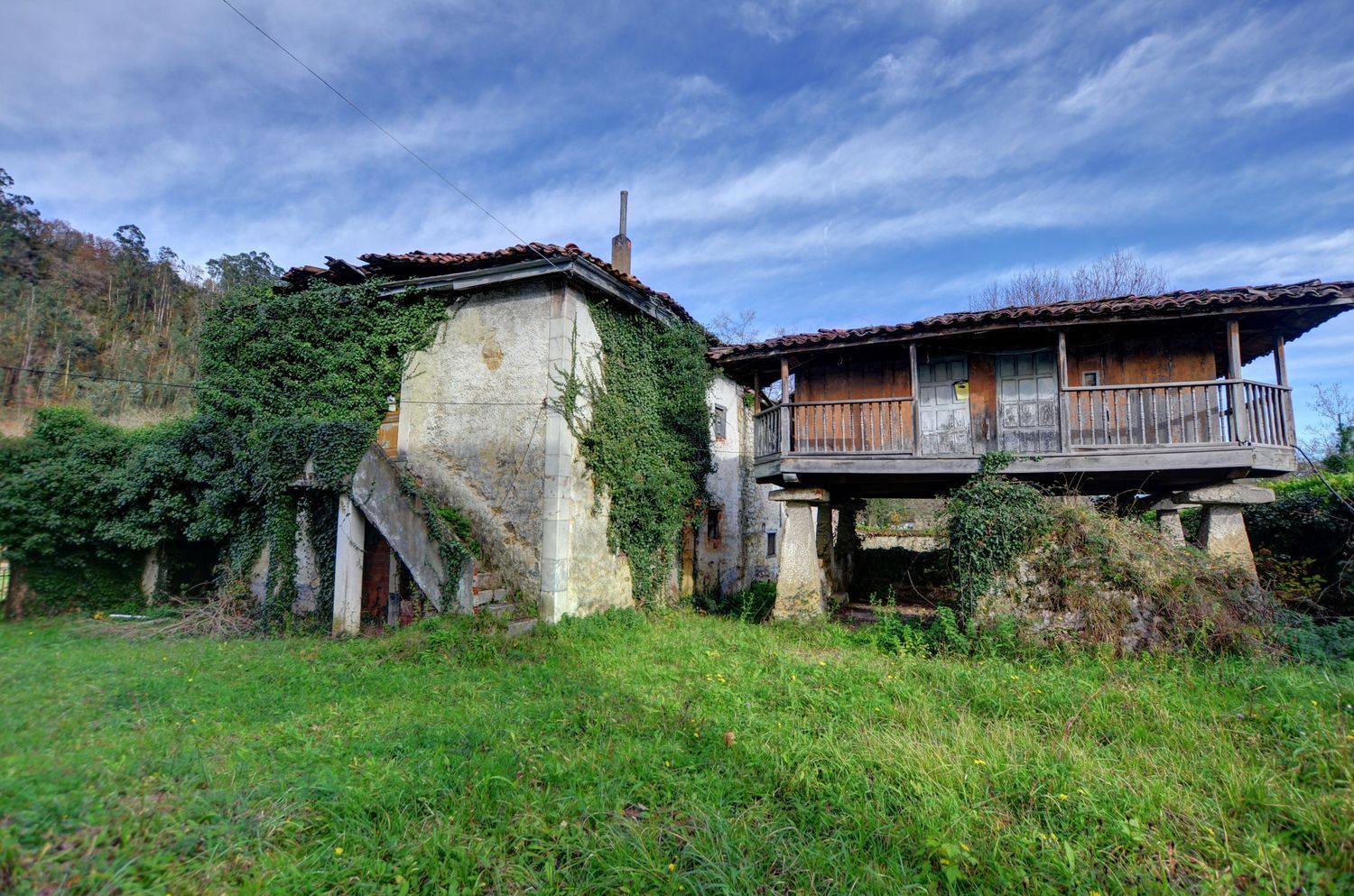 Casas o chalets-Venta-PiloÃ±a-2032742-Foto-11