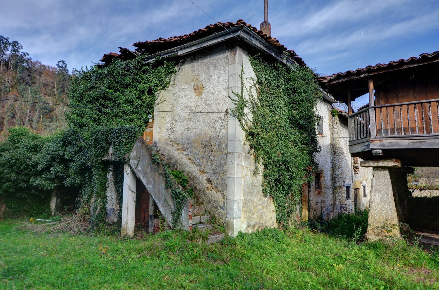 Casas o chalets-Venta-PiloÃ±a-2032742-Foto-12