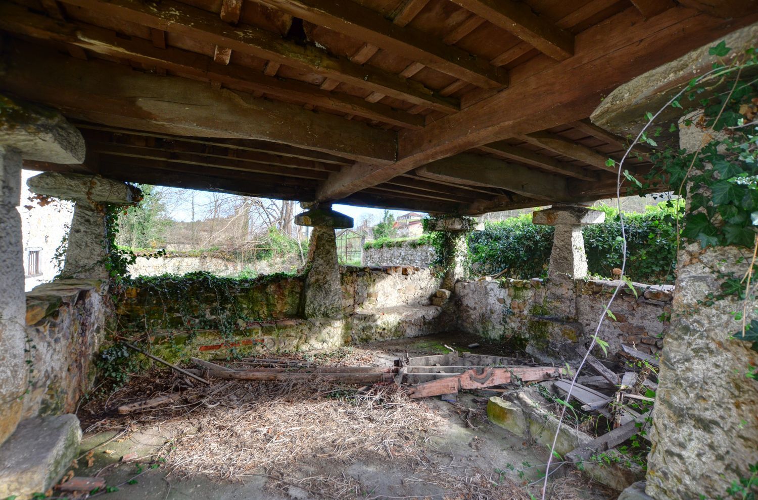 Casas o chalets-Venta-PiloÃ±a-2032742-Foto-22