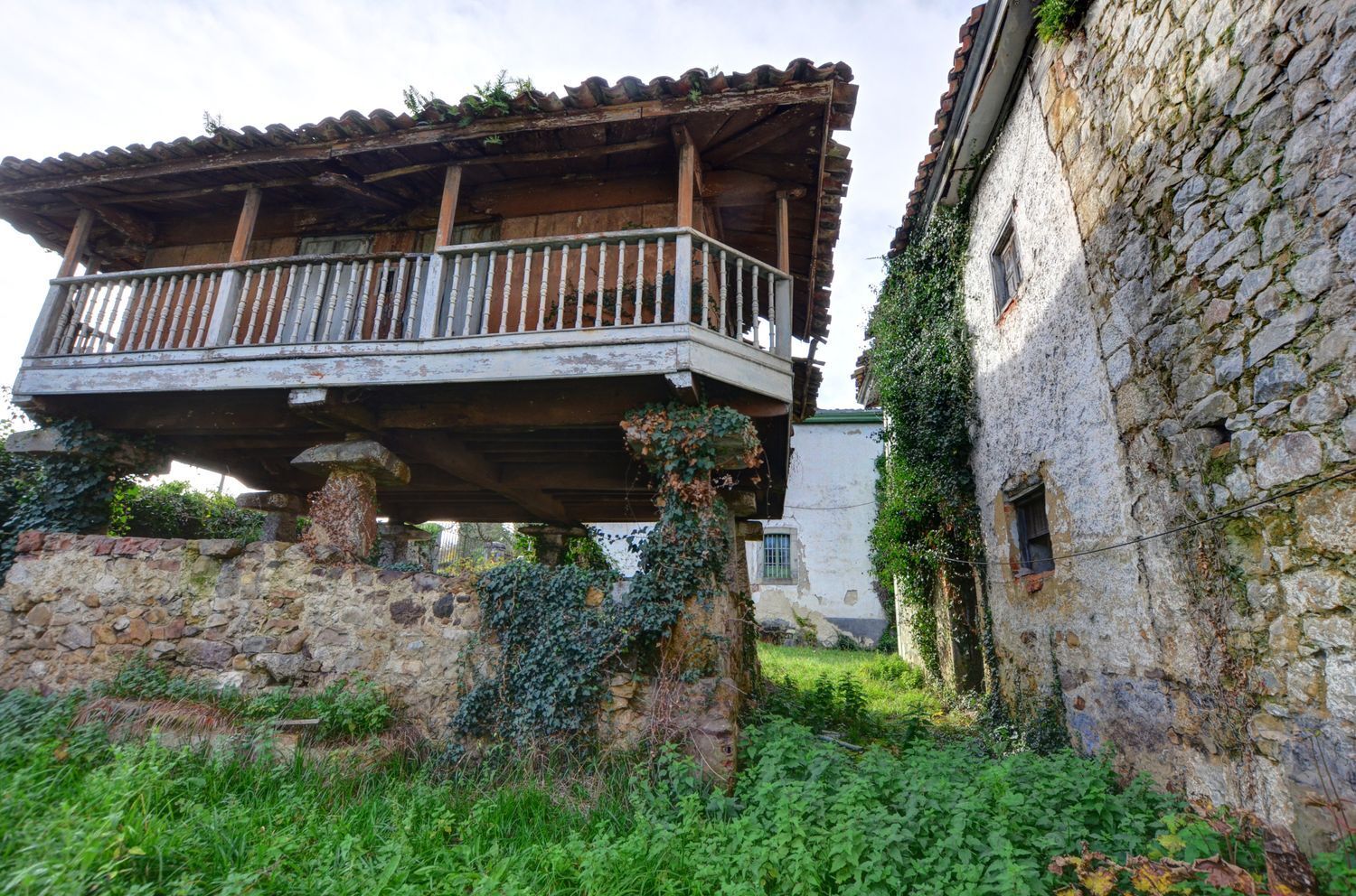 Casas o chalets-Venta-PiloÃ±a-2032742-Foto-30