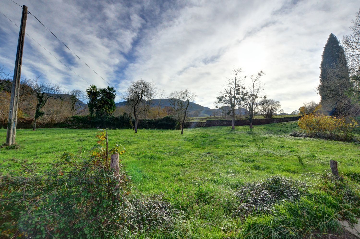 Casas o chalets-Venta-PiloÃ±a-2032742-Foto-34