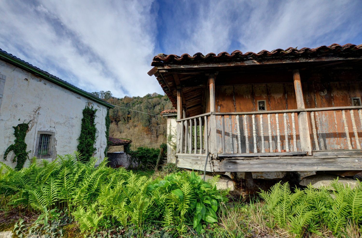 Casas o chalets-Venta-PiloÃ±a-2032742-Foto-36