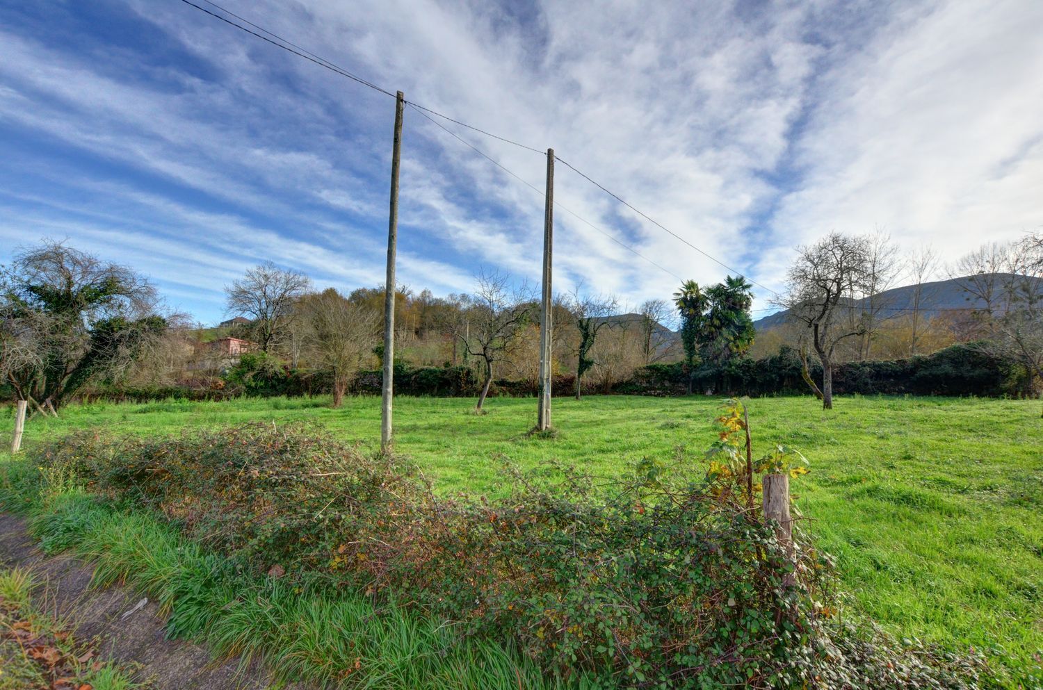 Casas o chalets-Venta-PiloÃ±a-2032742-Foto-35