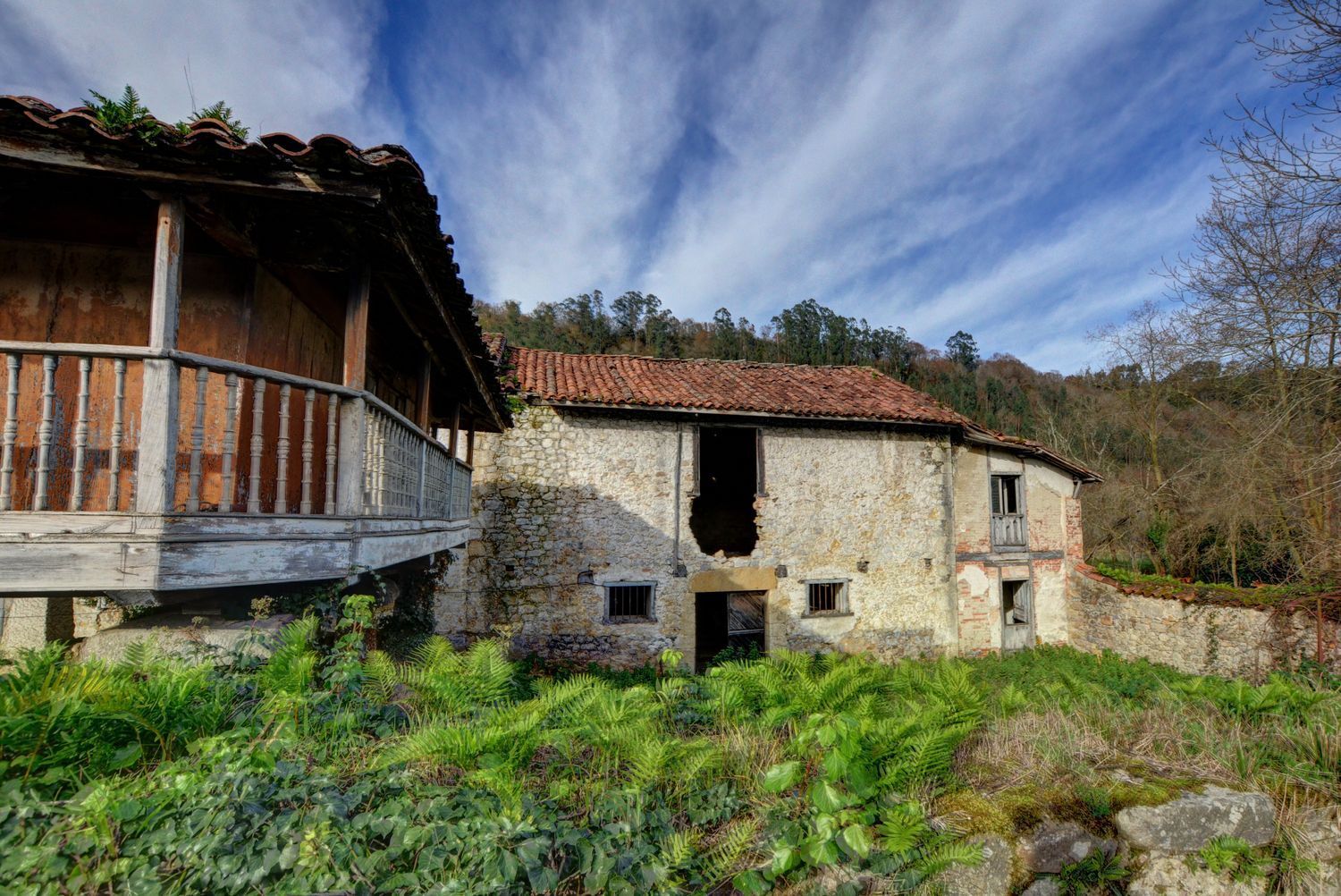 Casas o chalets-Venta-PiloÃ±a-2032742-Foto-37