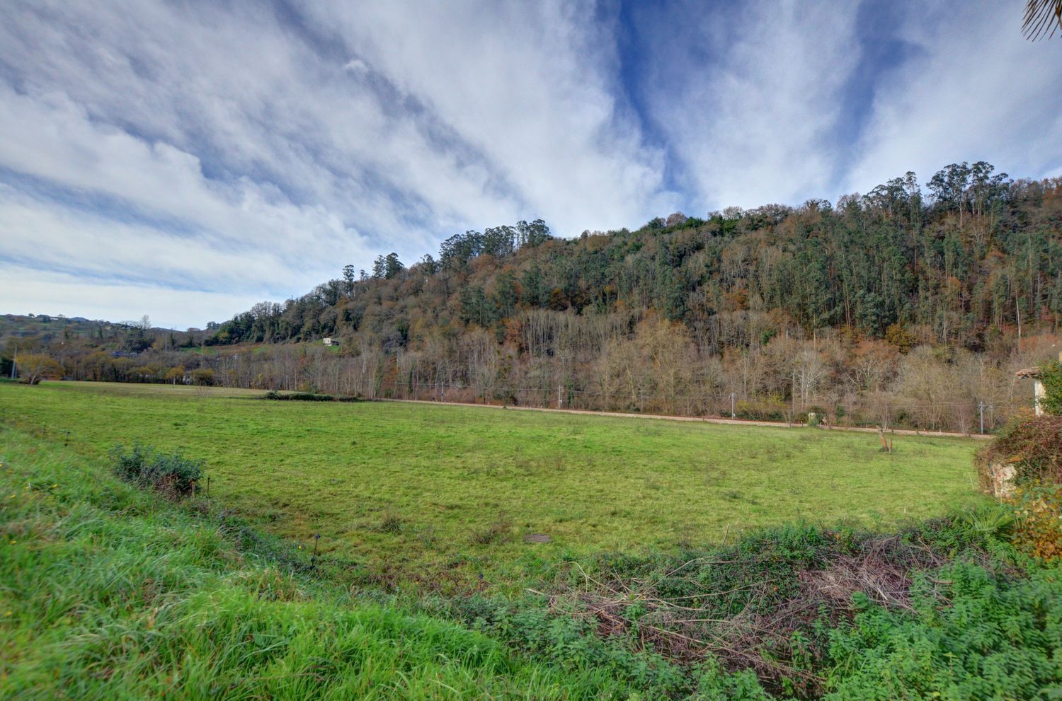 Casas o chalets-Venta-PiloÃ±a-2032742-Foto-43