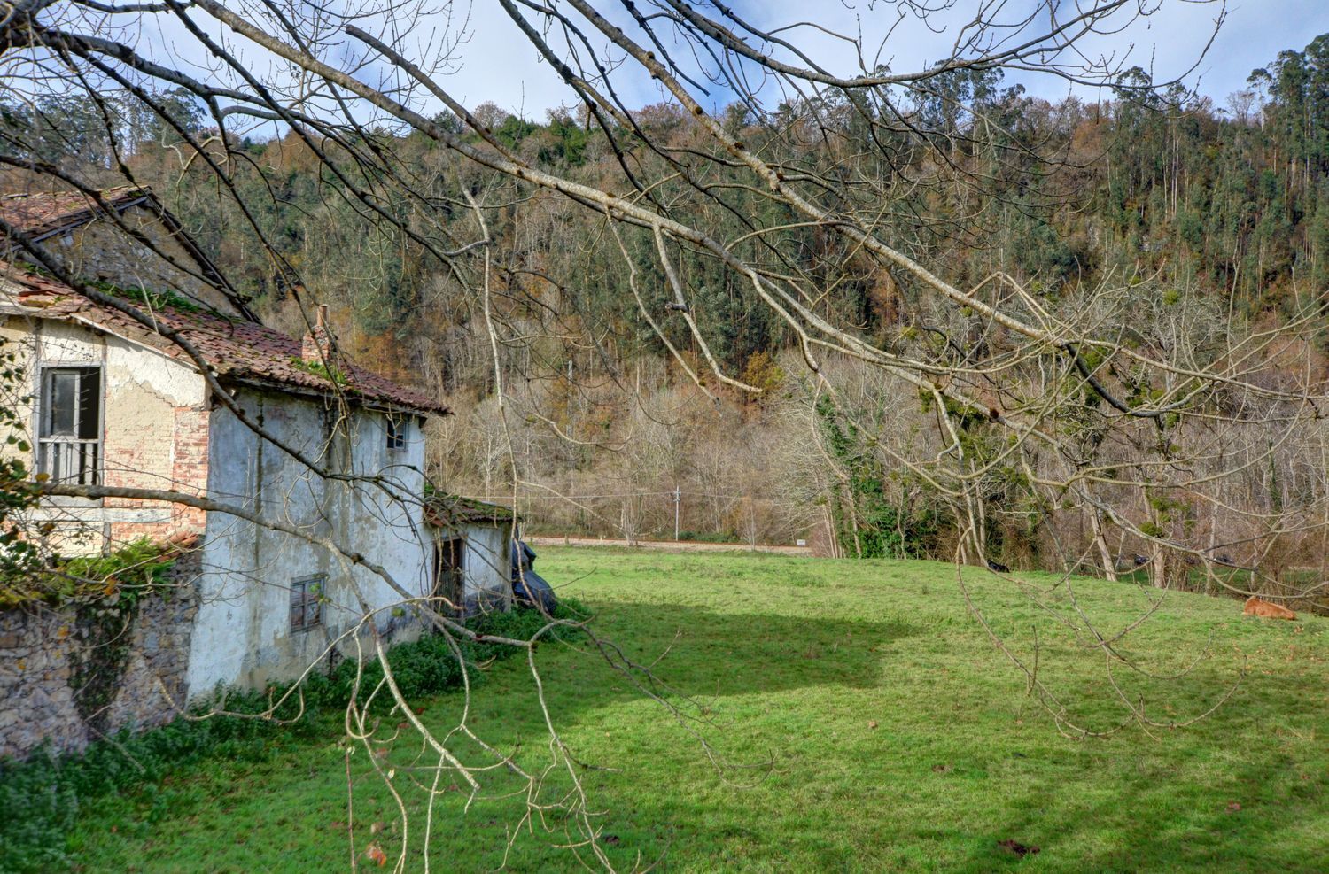 Casas o chalets-Venta-PiloÃ±a-2032742-Foto-40