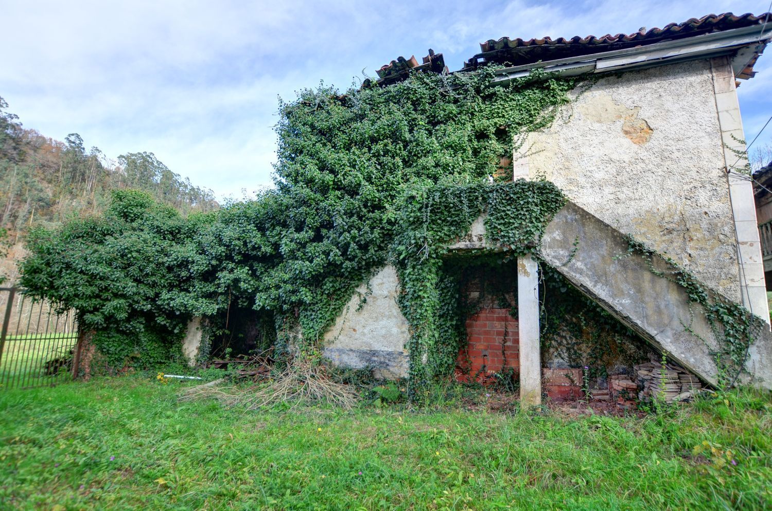 Casas o chalets-Venta-PiloÃ±a-2032742-Foto-45