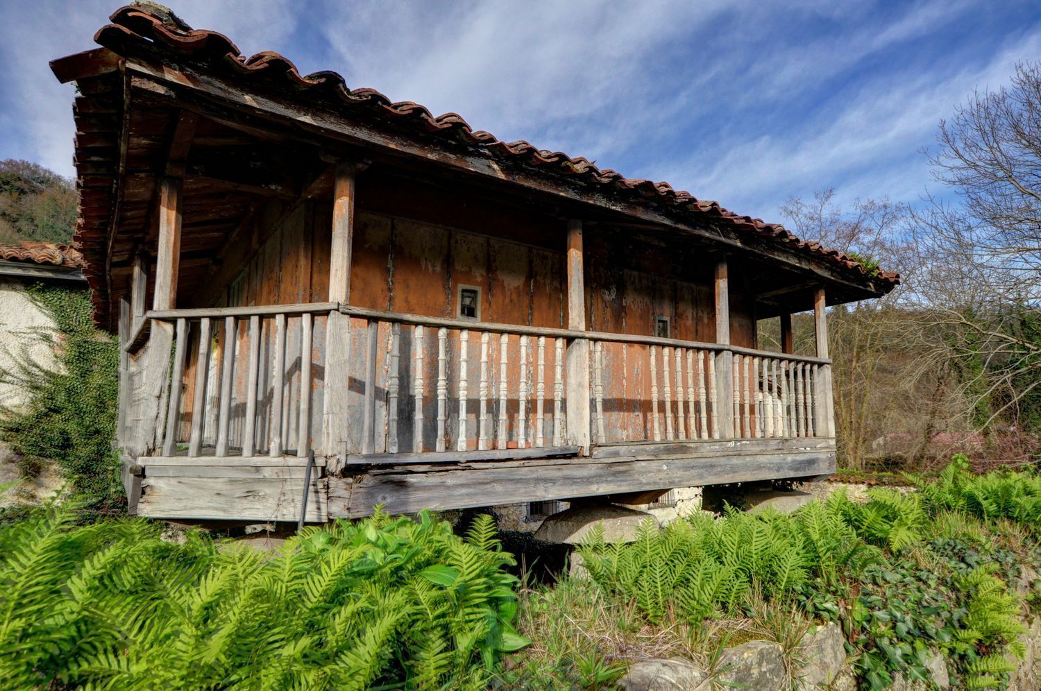 Casas o chalets-Venta-PiloÃ±a-2032742-Foto-48