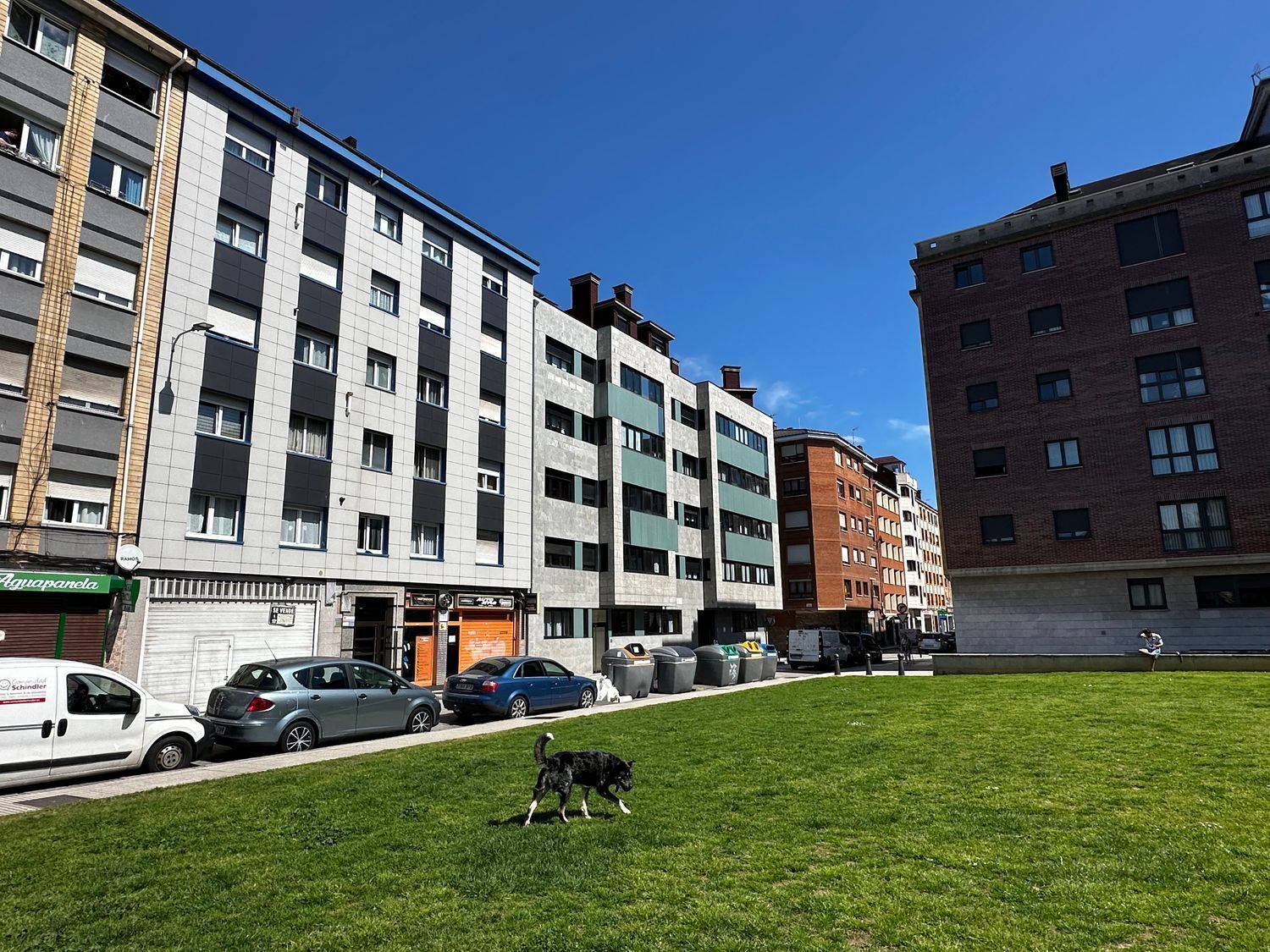 Pisos-Venta-GijÃ³n-2239328-Foto-5
