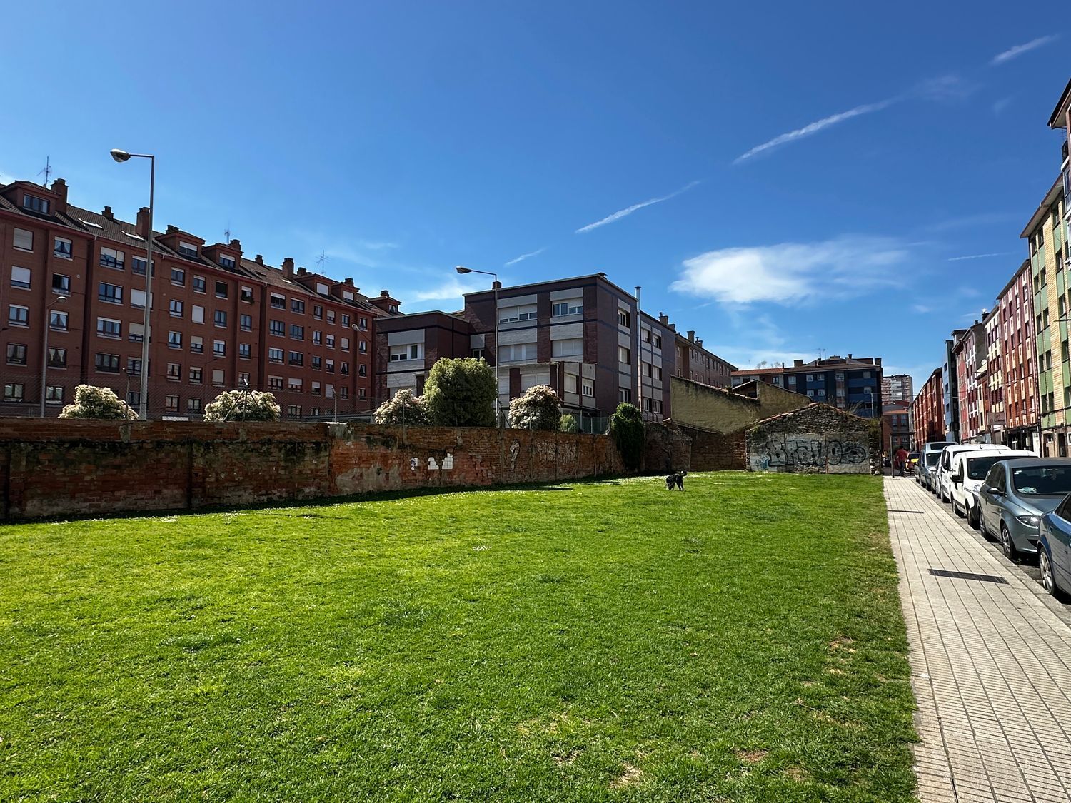 Pisos-Venta-GijÃ³n-2239328-Foto-42