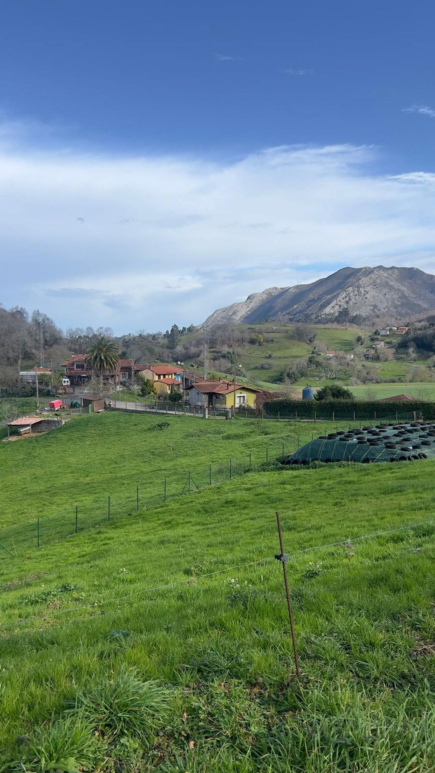 Fincas y solares-Venta-Les Avellanes i Santa Linya-2044320-Foto-5