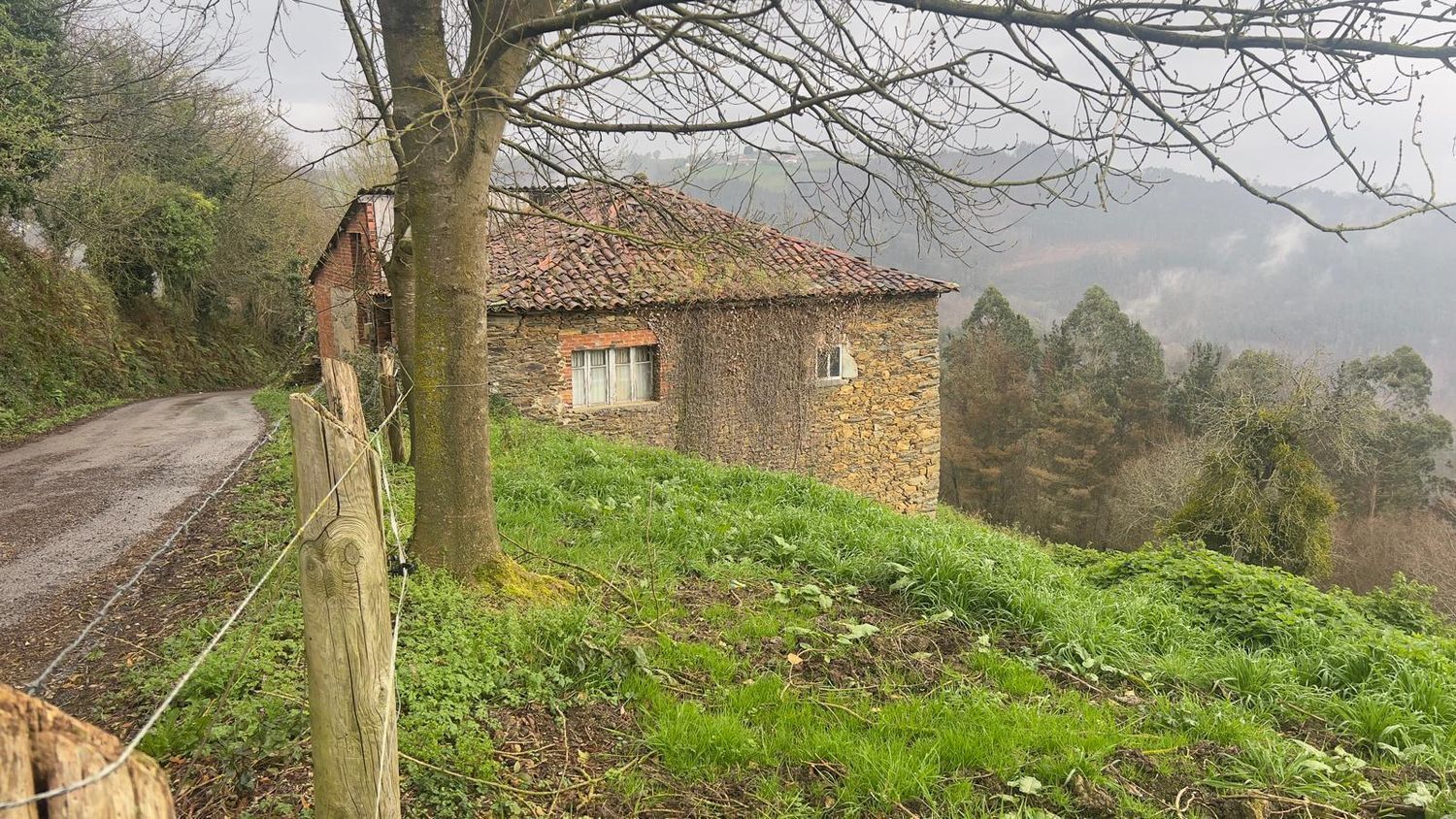 Casas o chalets-Venta-Tineo-2201789-Foto-2