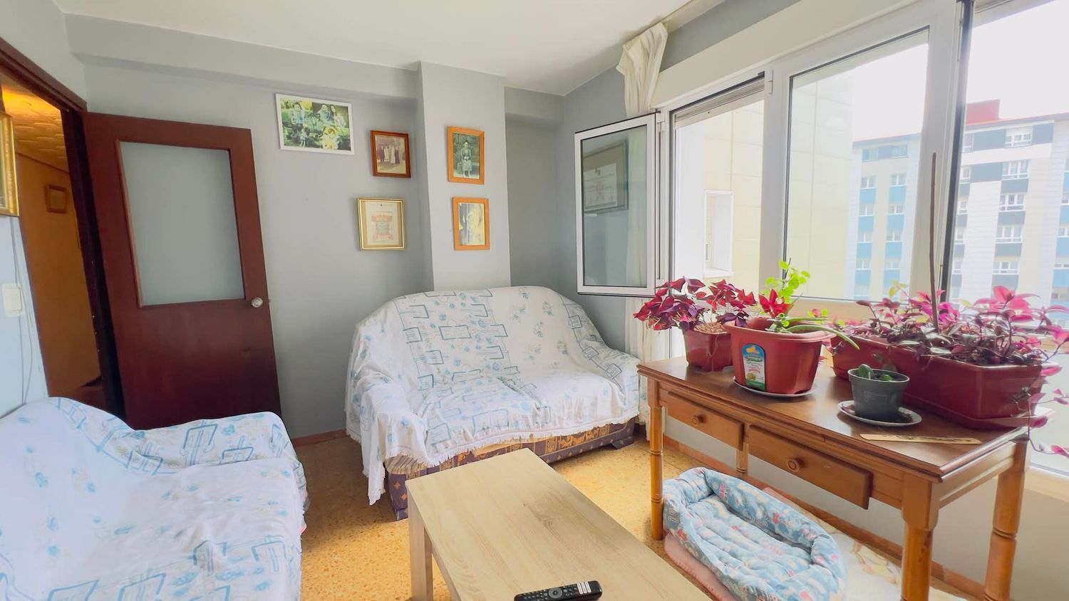 Pisos-Venta-GijÃ³n-2411160-Foto-15