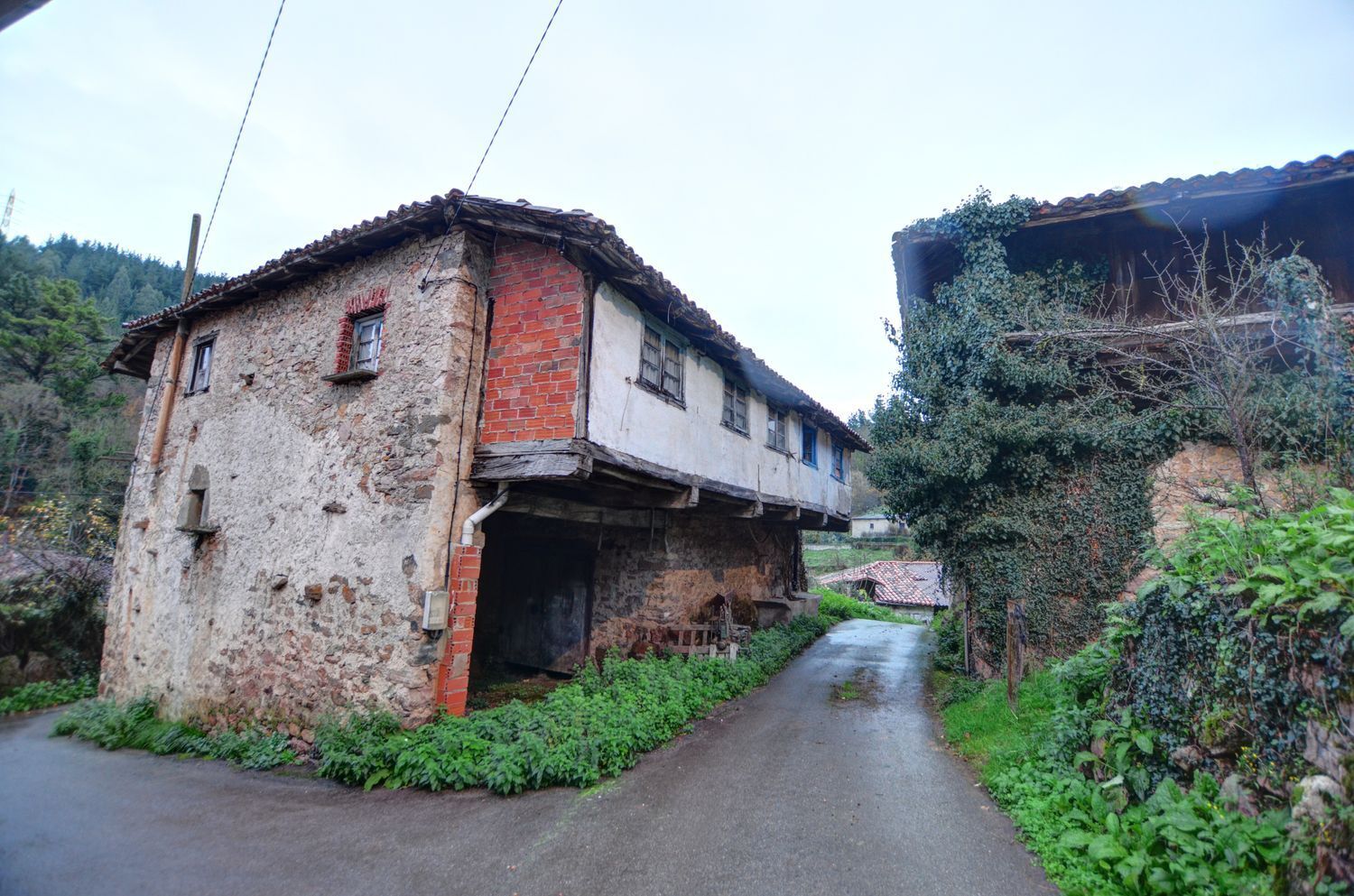 Casas o chalets-Venta-Tineo-2031345-Foto-4