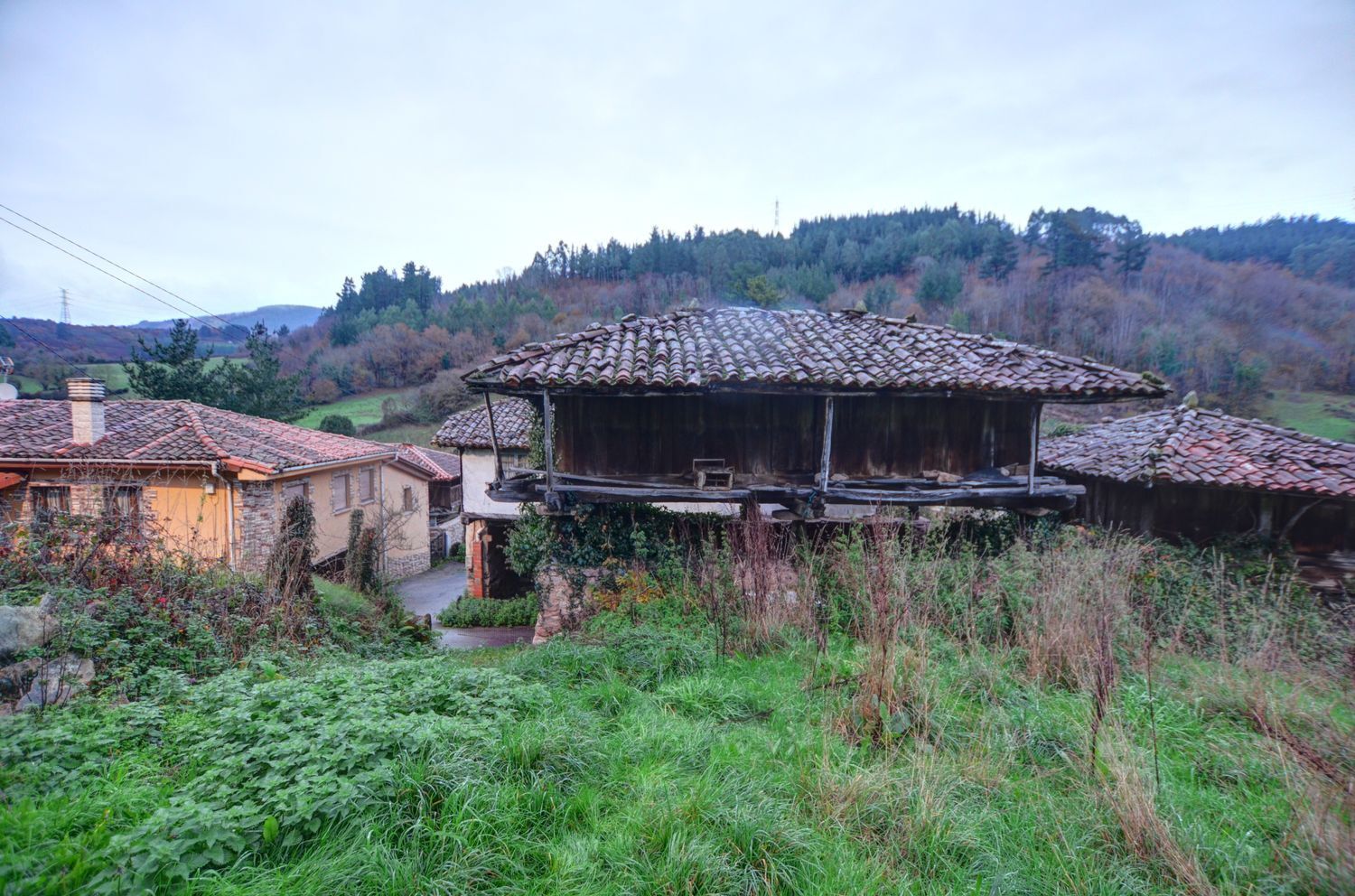 Casas o chalets-Venta-Tineo-2031345-Foto-8