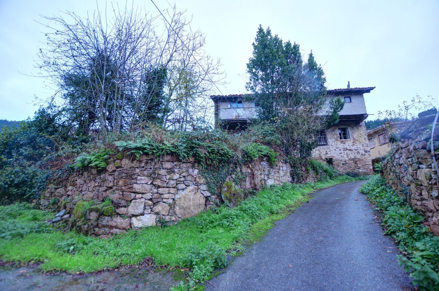 Casas o chalets-Venta-Tineo-2031345-Foto-6