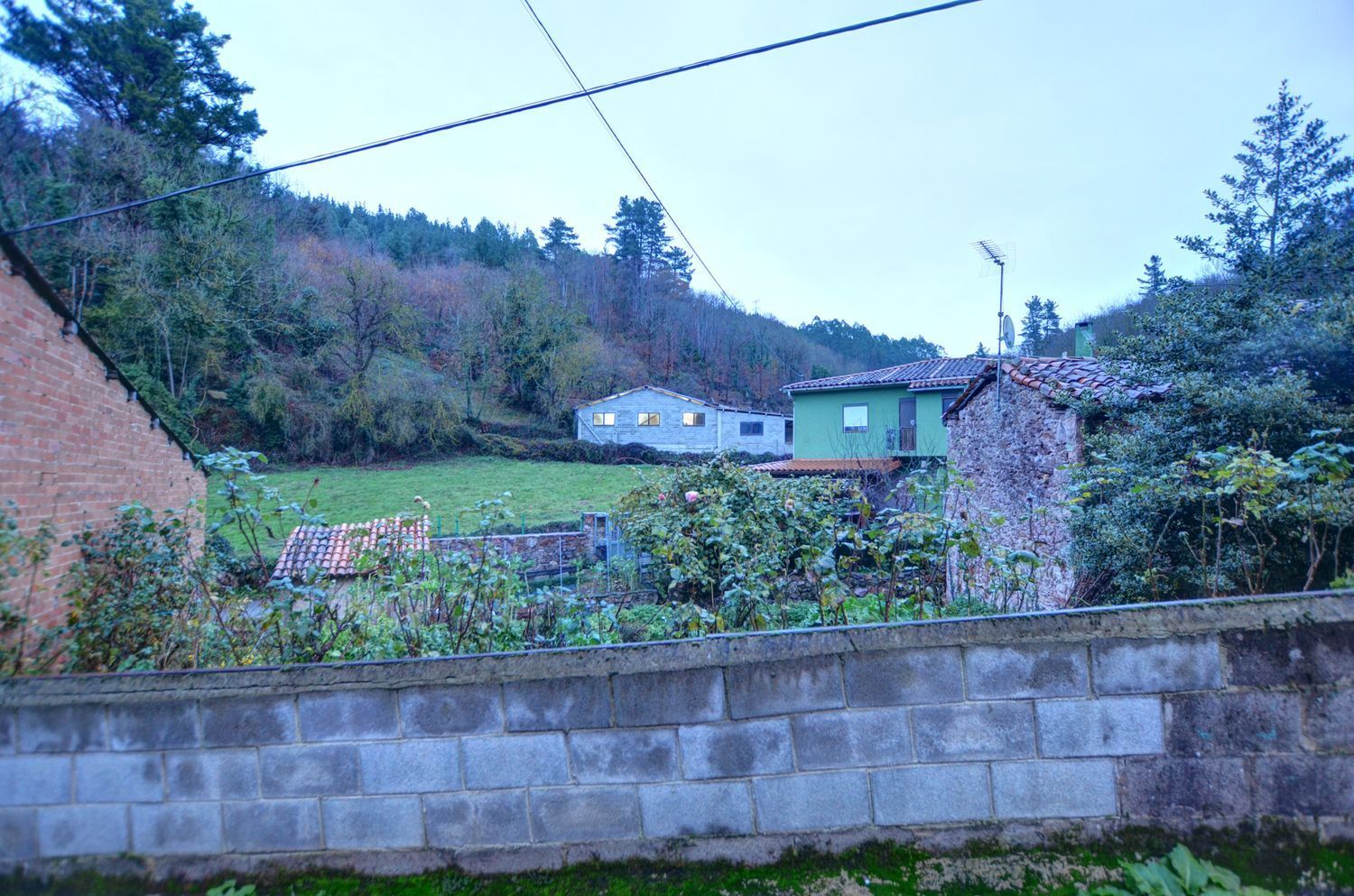 Casas o chalets-Venta-Tineo-2031345-Foto-9