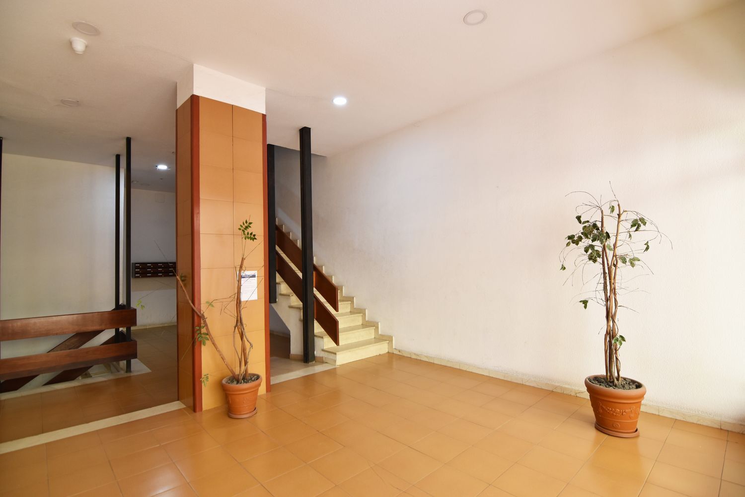 Pisos-Venta-Las Palmas de Gran Canaria-2417963-Foto-32