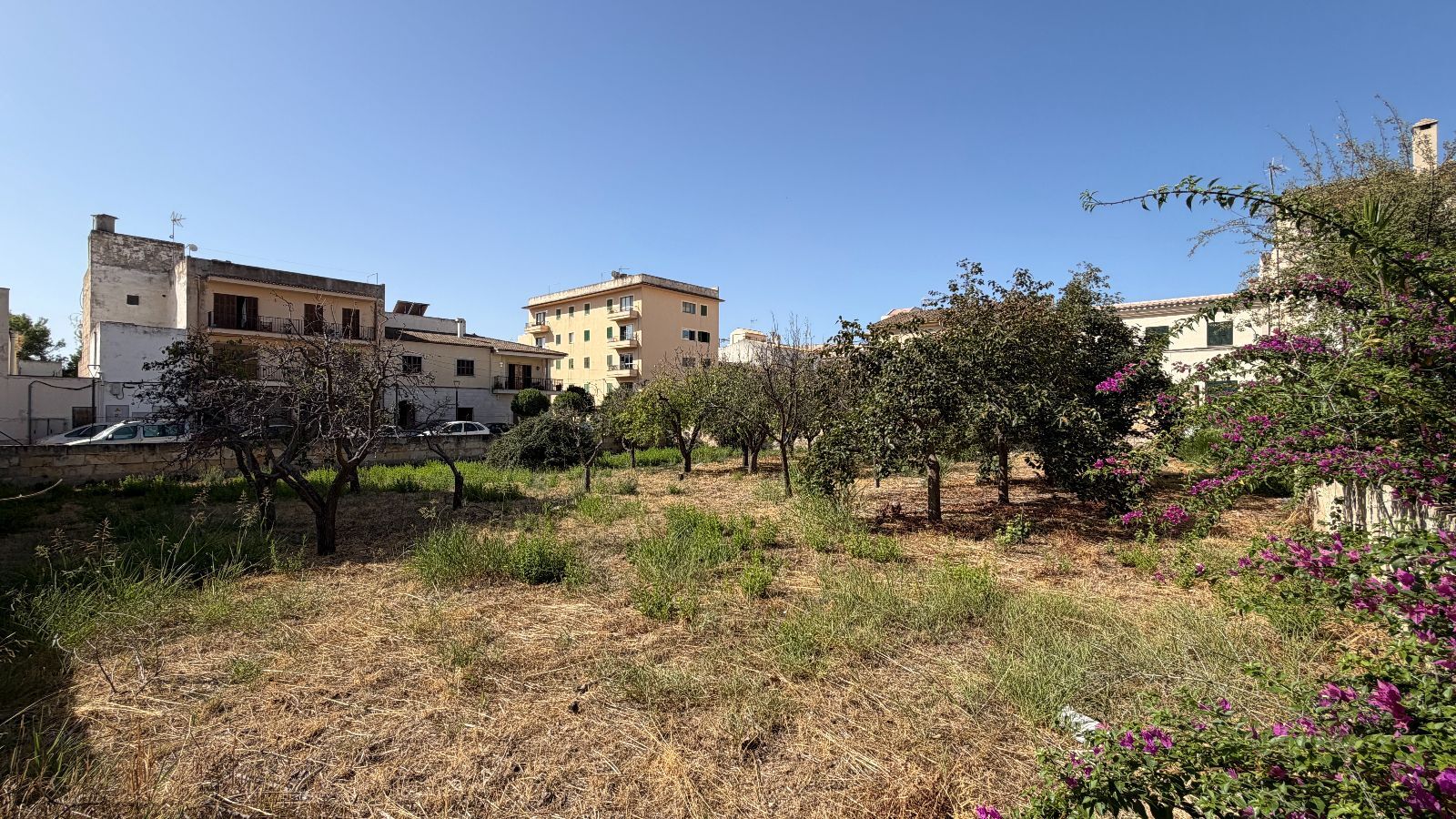 Fincas y solares-Venta-Lloseta-2415089