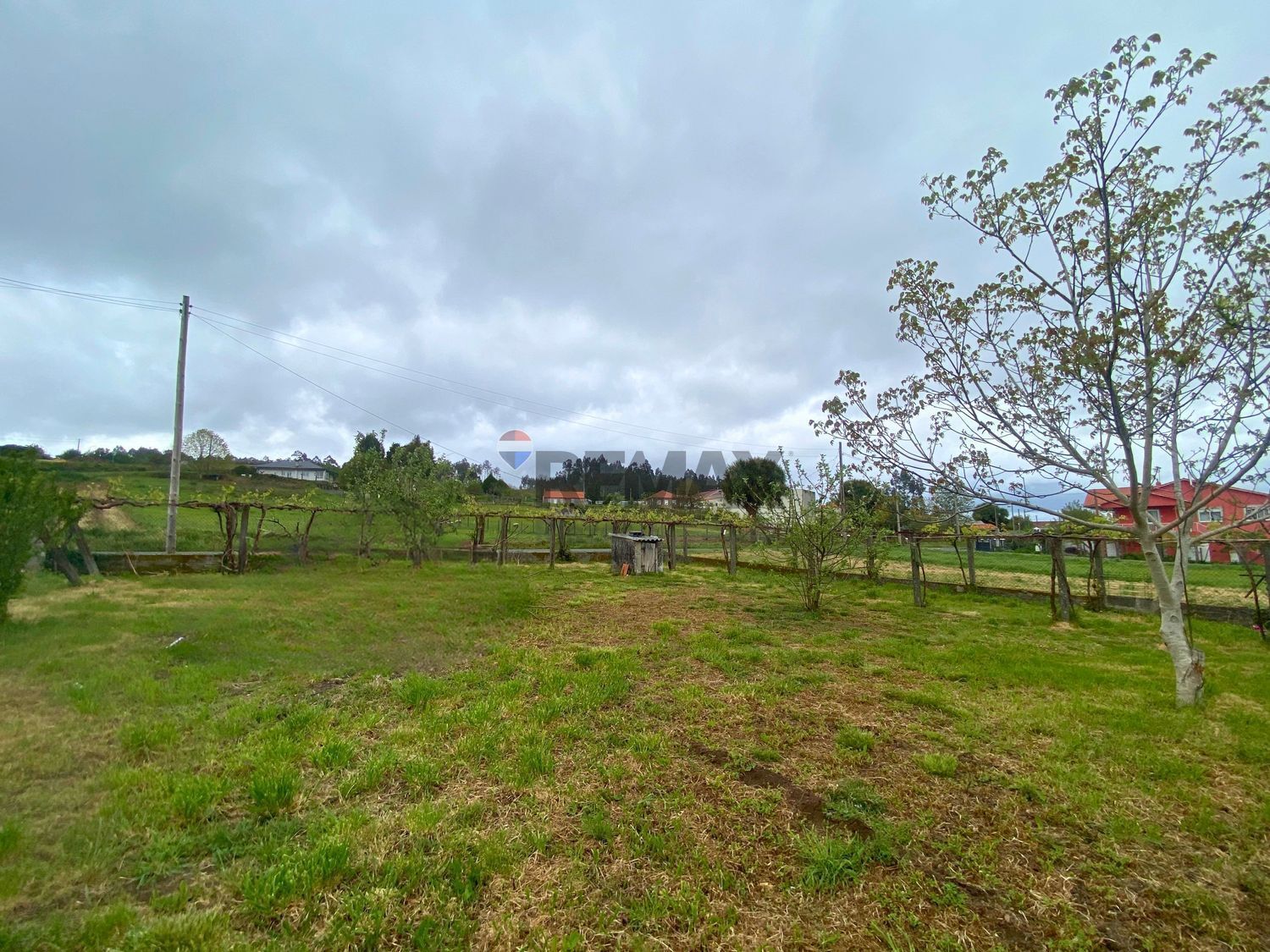 Casas o chalets-Venta-A Estrada-2418362-Foto-10