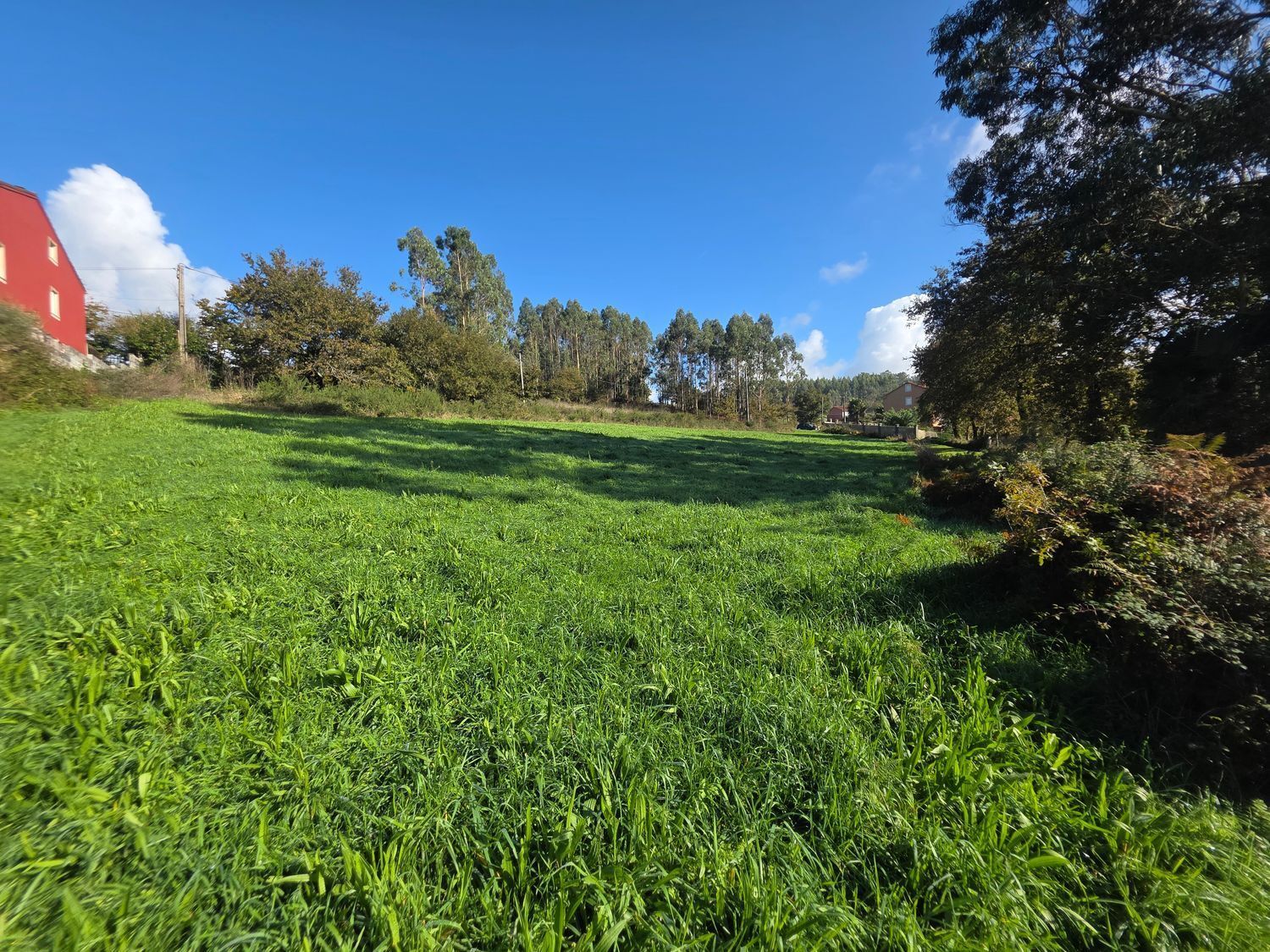 Fincas y solares-Venta-Santiago de Compostela-2418356-Foto-2