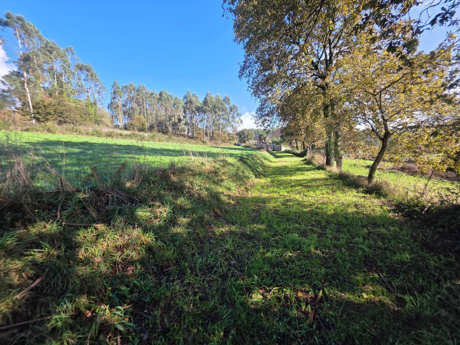 Fincas y solares-Venta-Santiago de Compostela-2418356-Foto-3