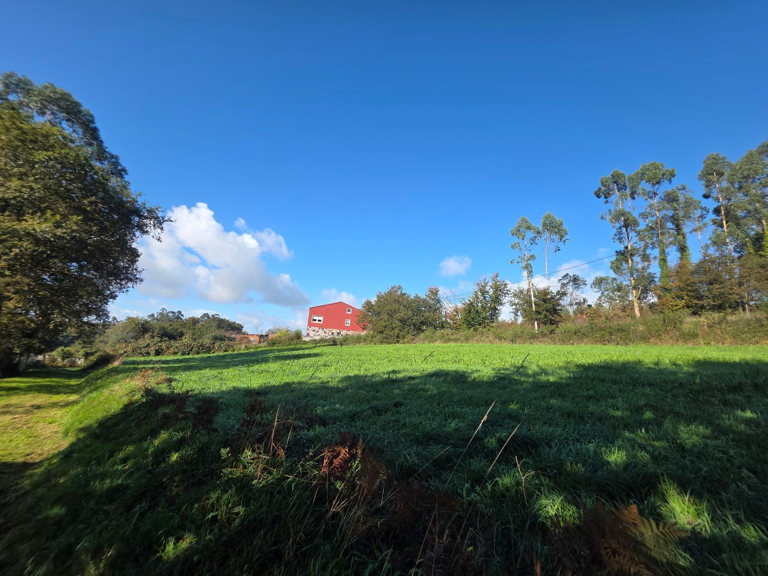 Fincas y solares-Venta-Santiago de Compostela-2418356-Foto-6