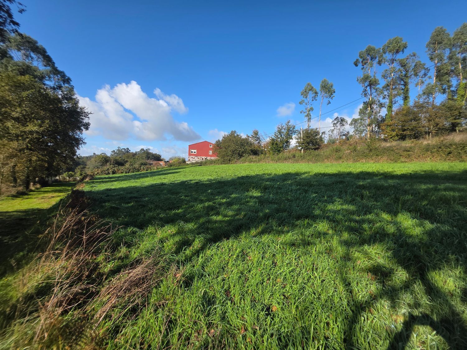 Fincas y solares-Venta-Santiago de Compostela-2418356-Foto-4