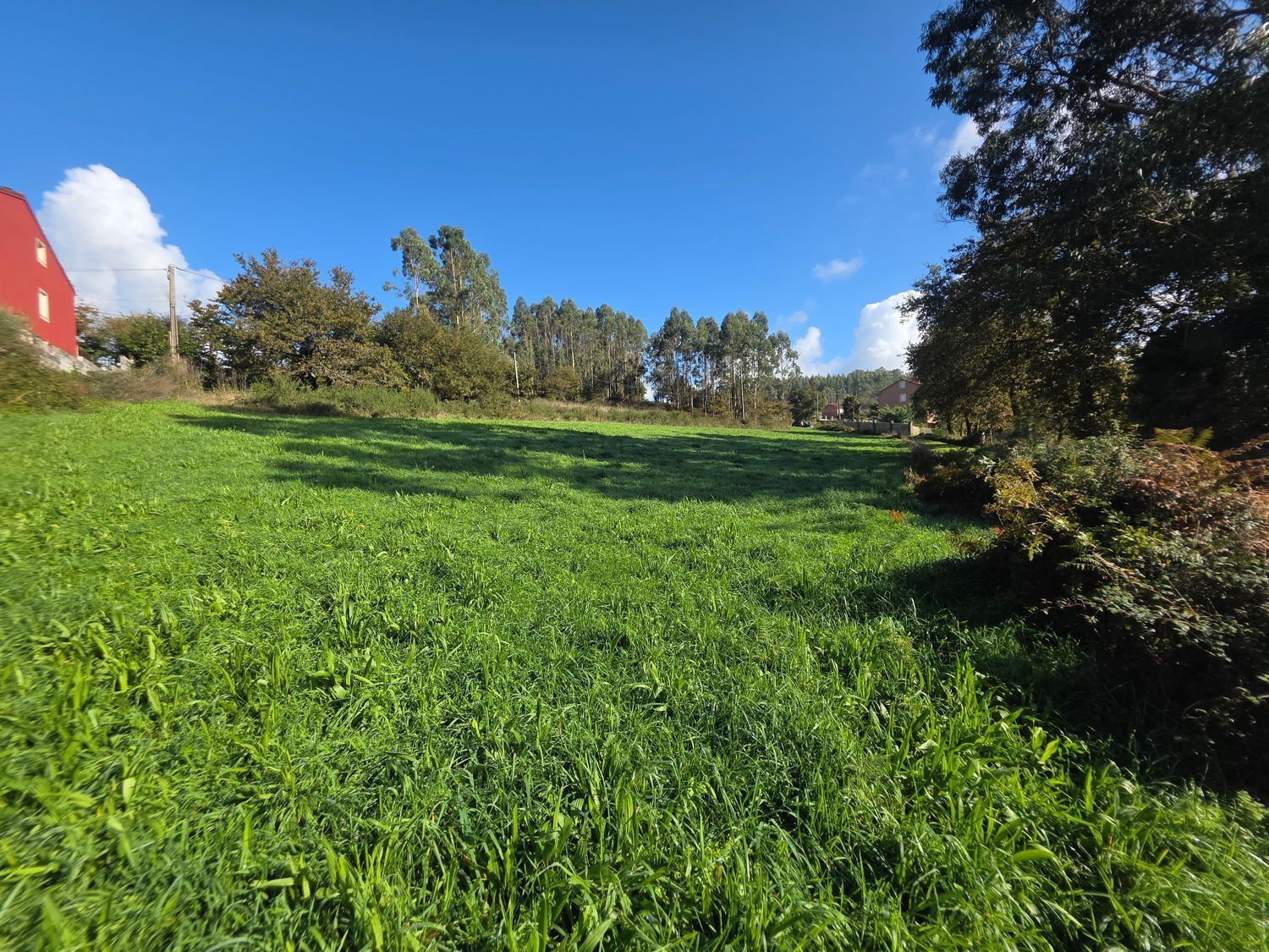 Fincas y solares-Venta-Santiago de Compostela-2418356-Foto-7
