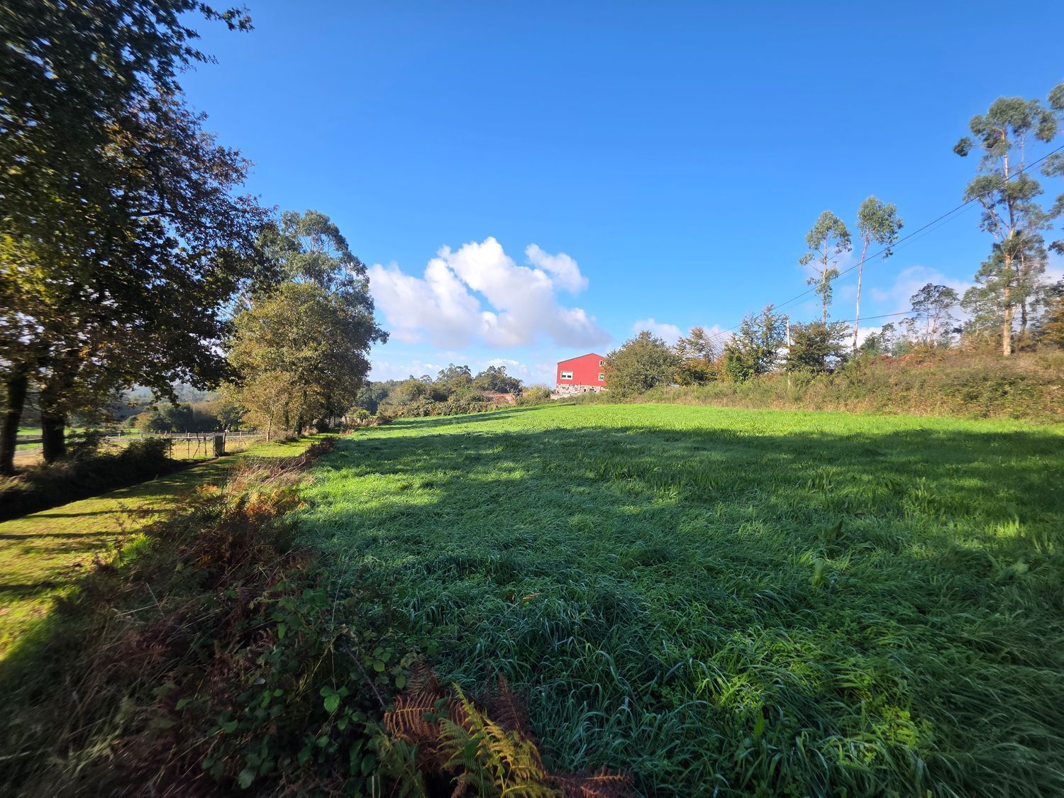 Fincas y solares-Venta-Santiago de Compostela-2418356-Foto-8