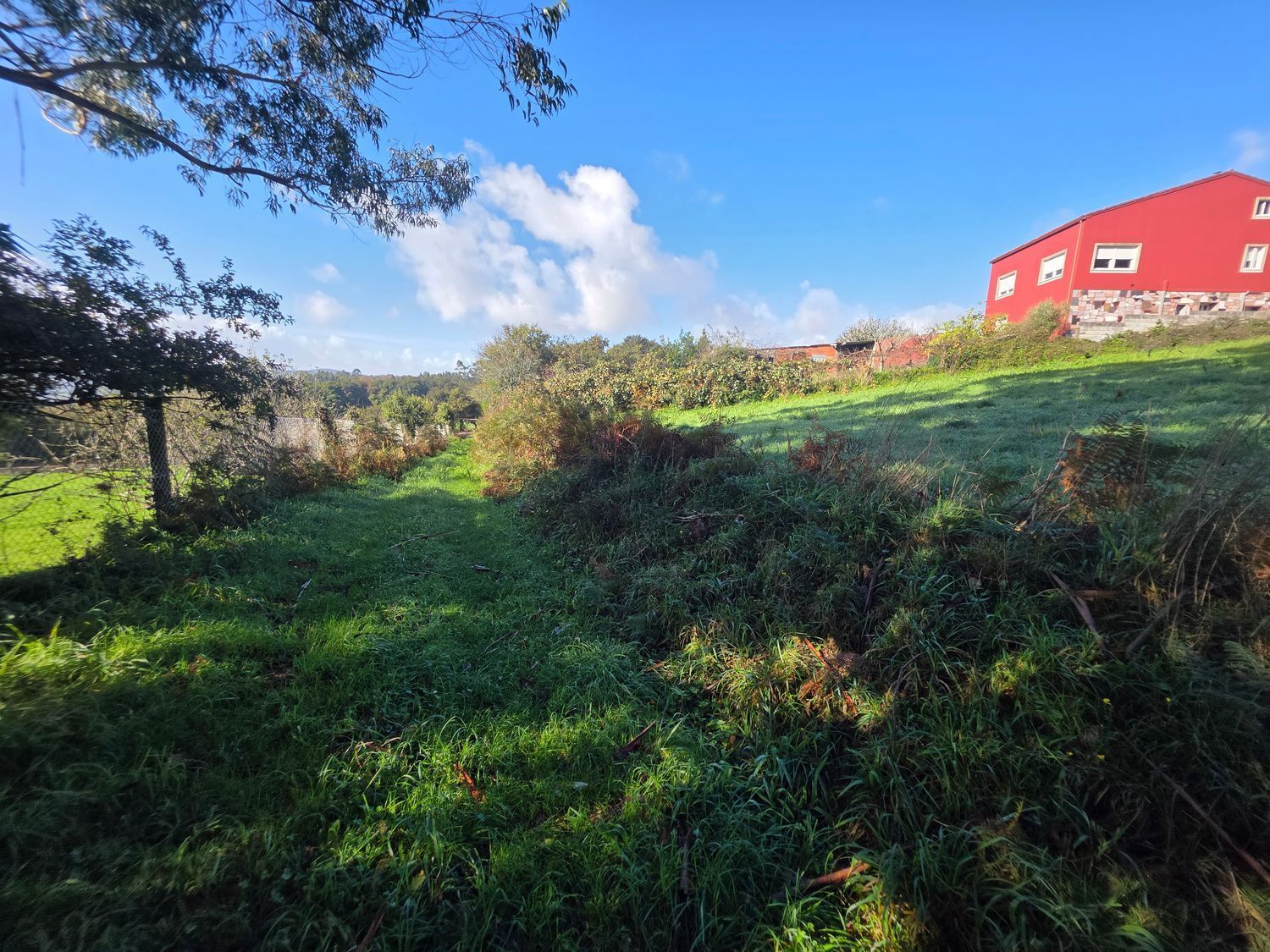 Fincas y solares-Venta-Santiago de Compostela-2418356-Foto-9
