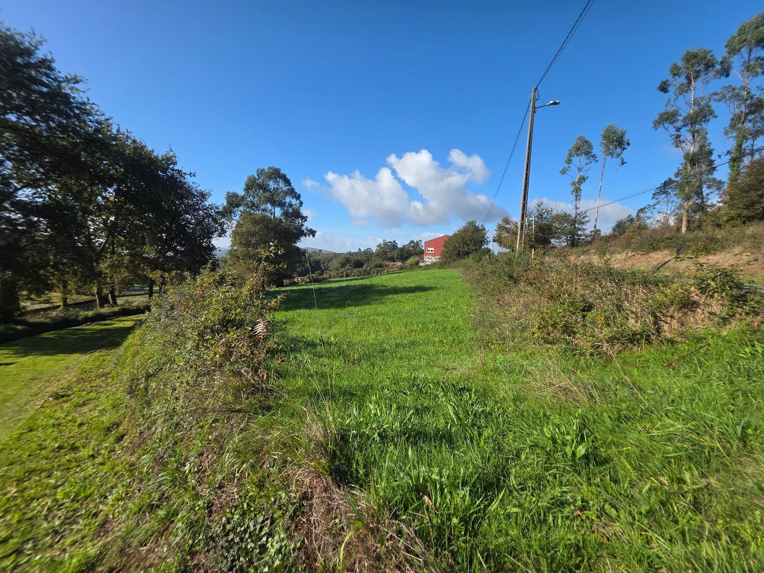 Fincas y solares-Venta-Santiago de Compostela-2418356-Foto-12