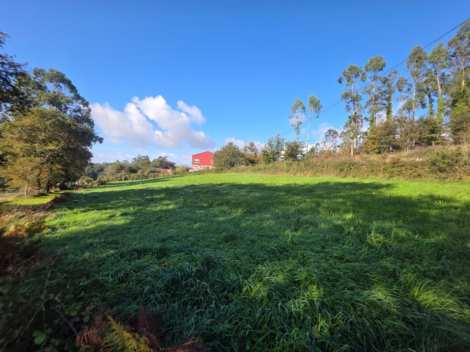 Fincas y solares-Venta-Santiago de Compostela-2418356-Foto-15