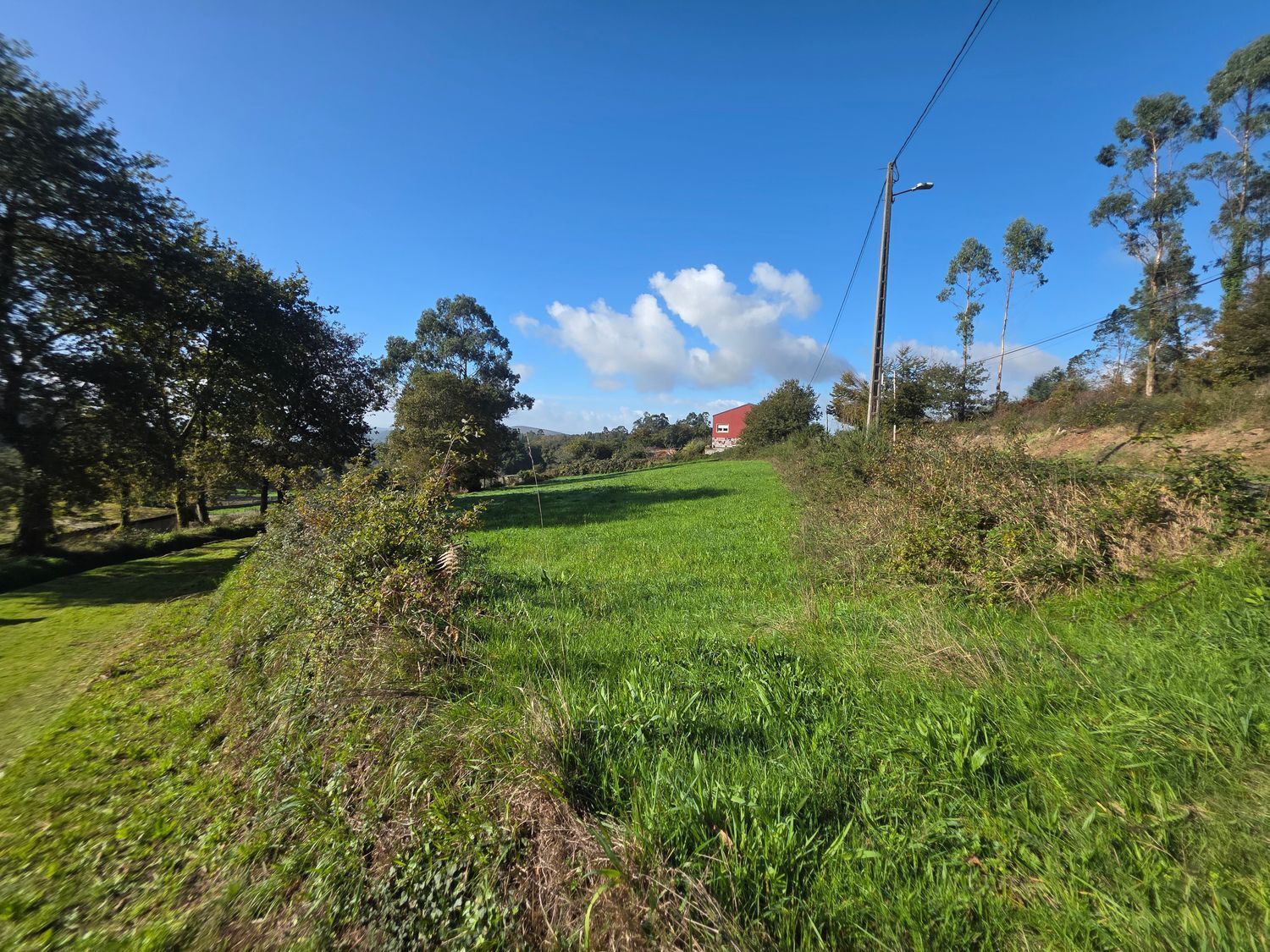 Fincas y solares-Venta-Santiago de Compostela-2418356-Foto-13