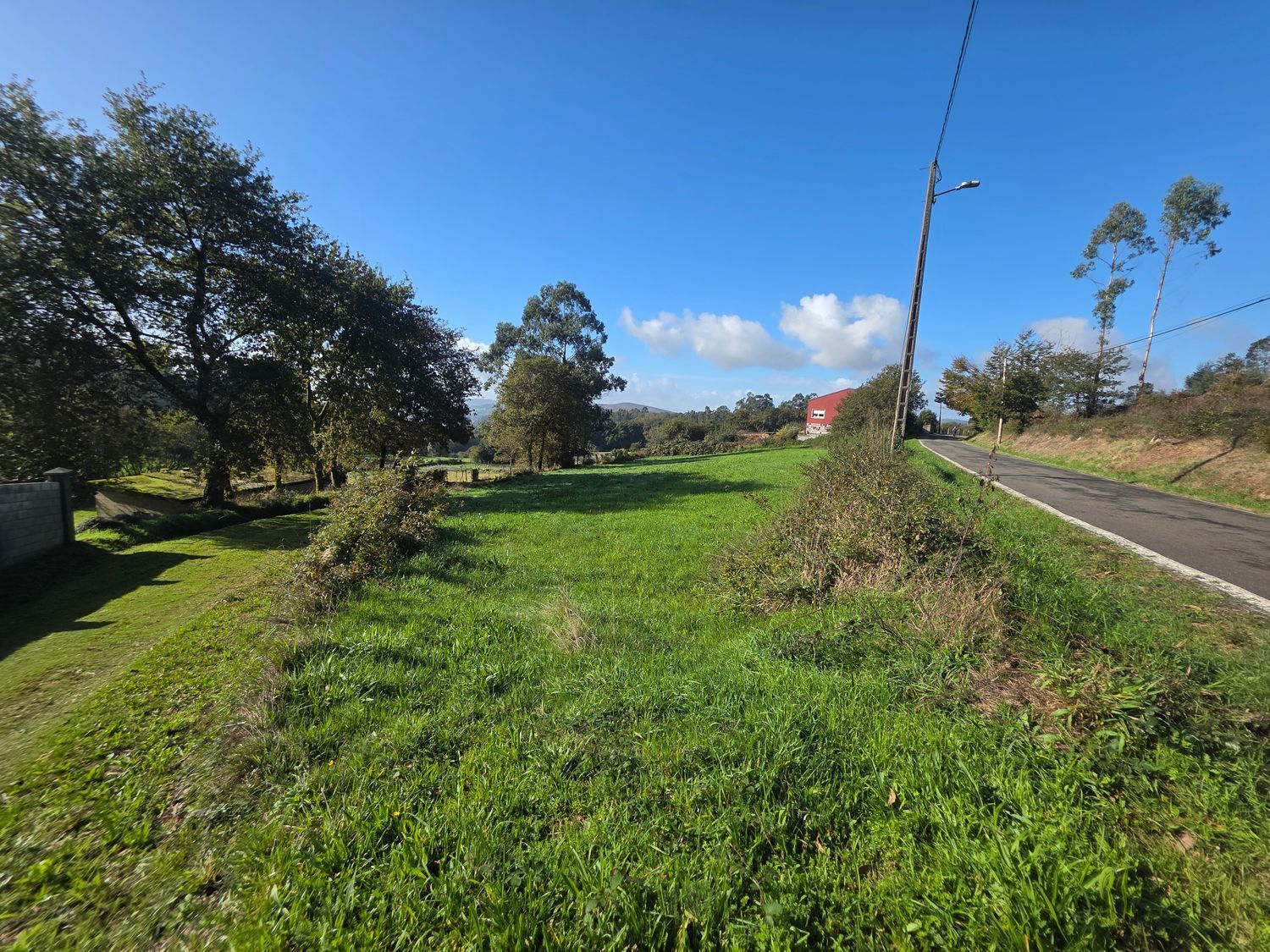 Fincas y solares-Venta-Santiago de Compostela-2418356-Foto-14