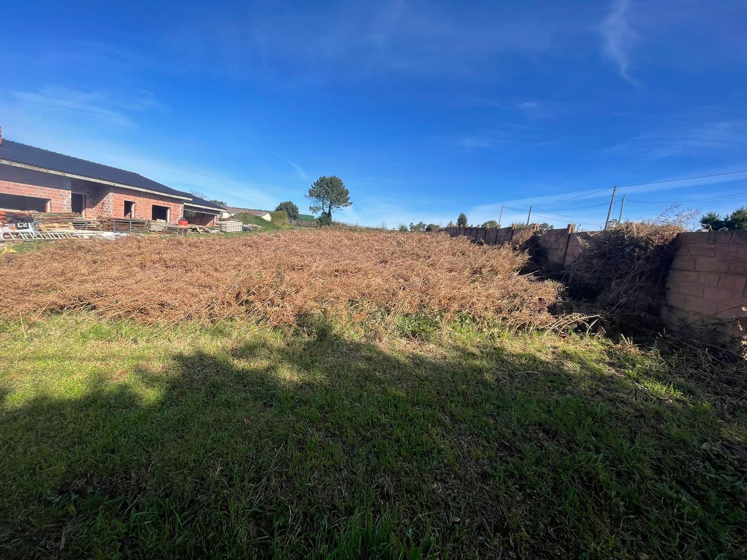 Fincas y solares-Venta-NarÃ³n-2418338-Foto-7