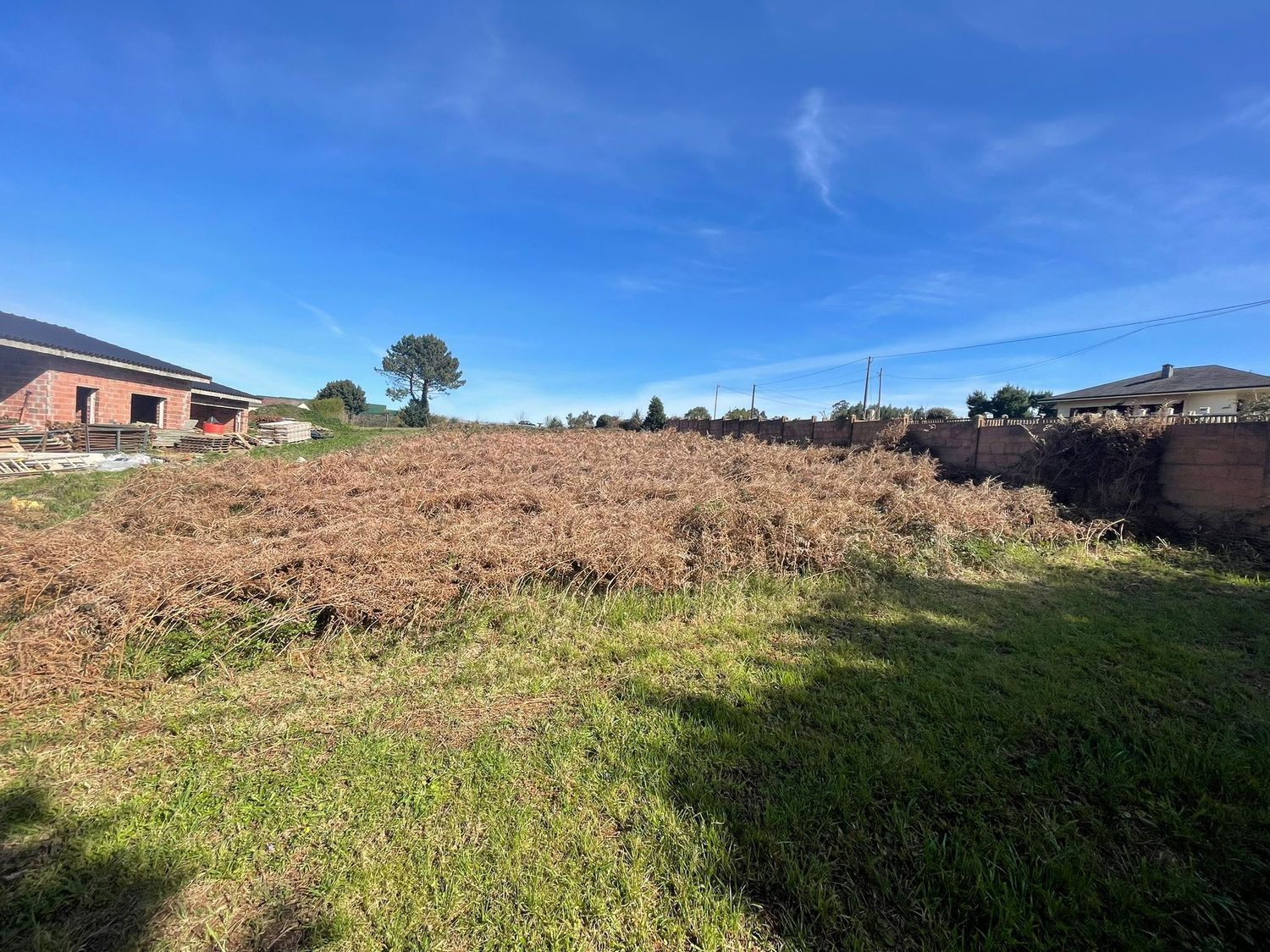Fincas y solares-Venta-NarÃ³n-2418338-Foto-6
