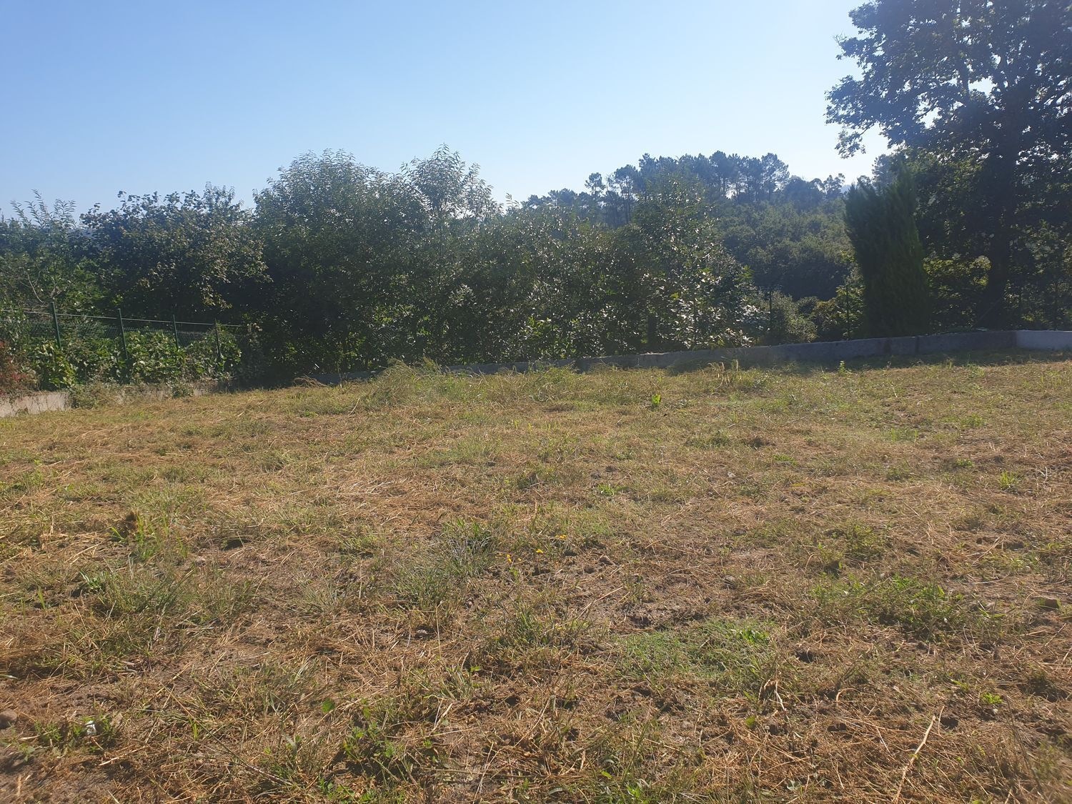 Fincas y solares-Venta-Negreira-2418302-Foto-4