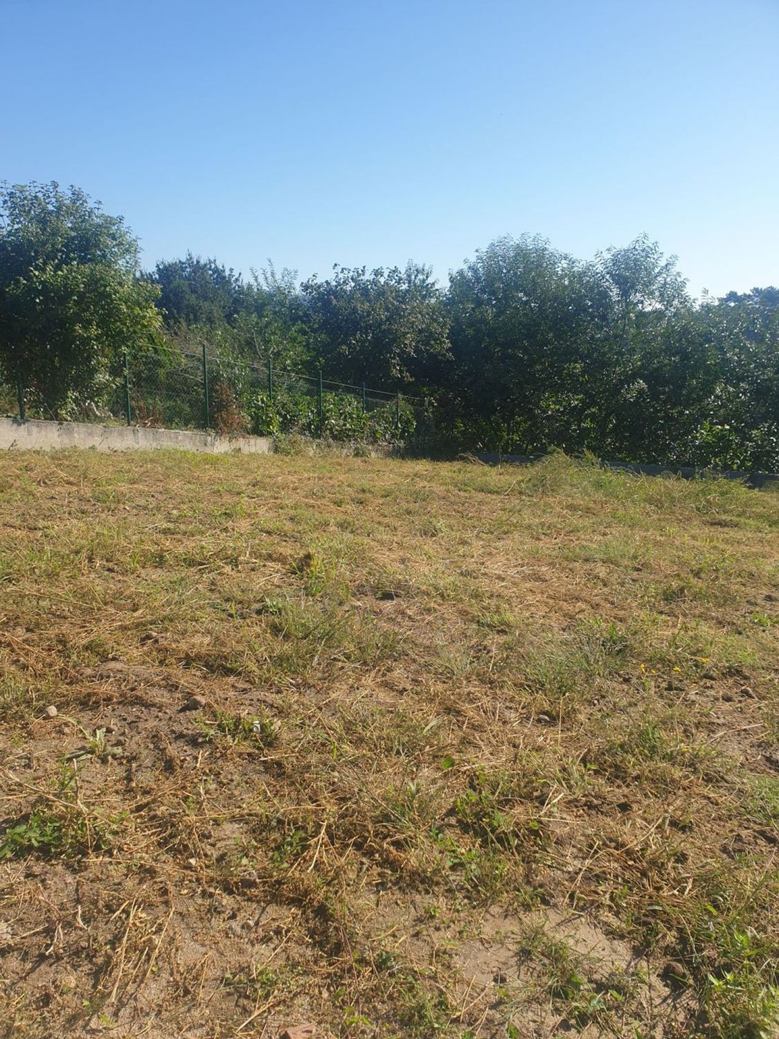 Fincas y solares-Venta-Negreira-2418302-Foto-5