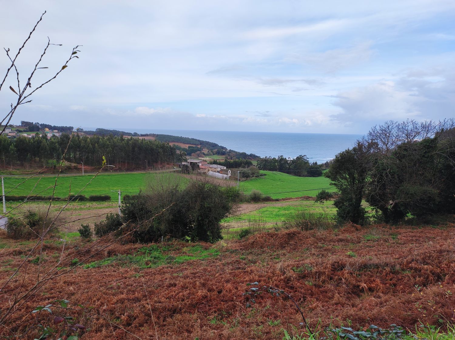 Fincas y solares-Venta-Arteixo-2418278-Foto-2