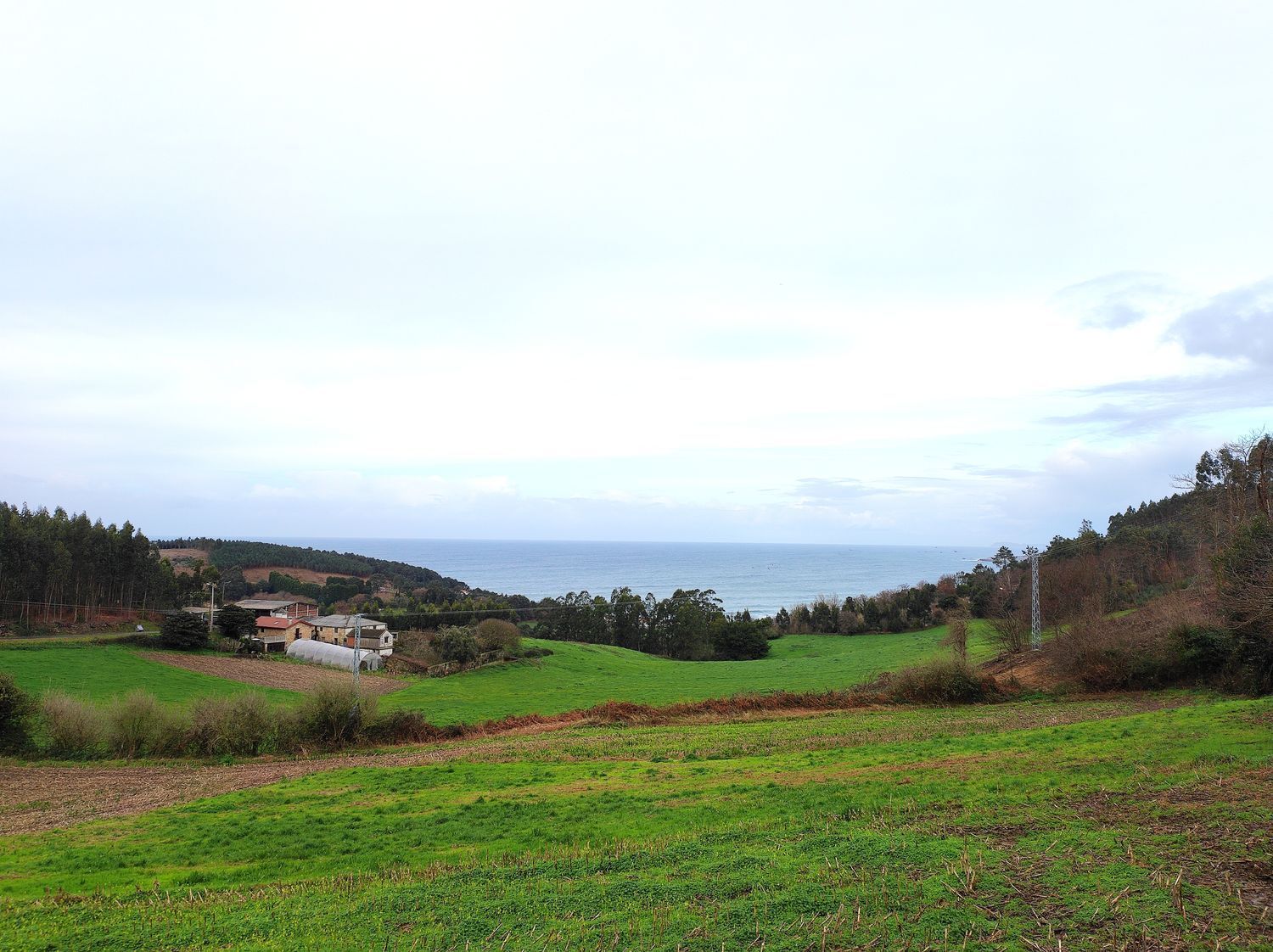 Fincas y solares-Venta-Arteixo-2418278-Foto-5
