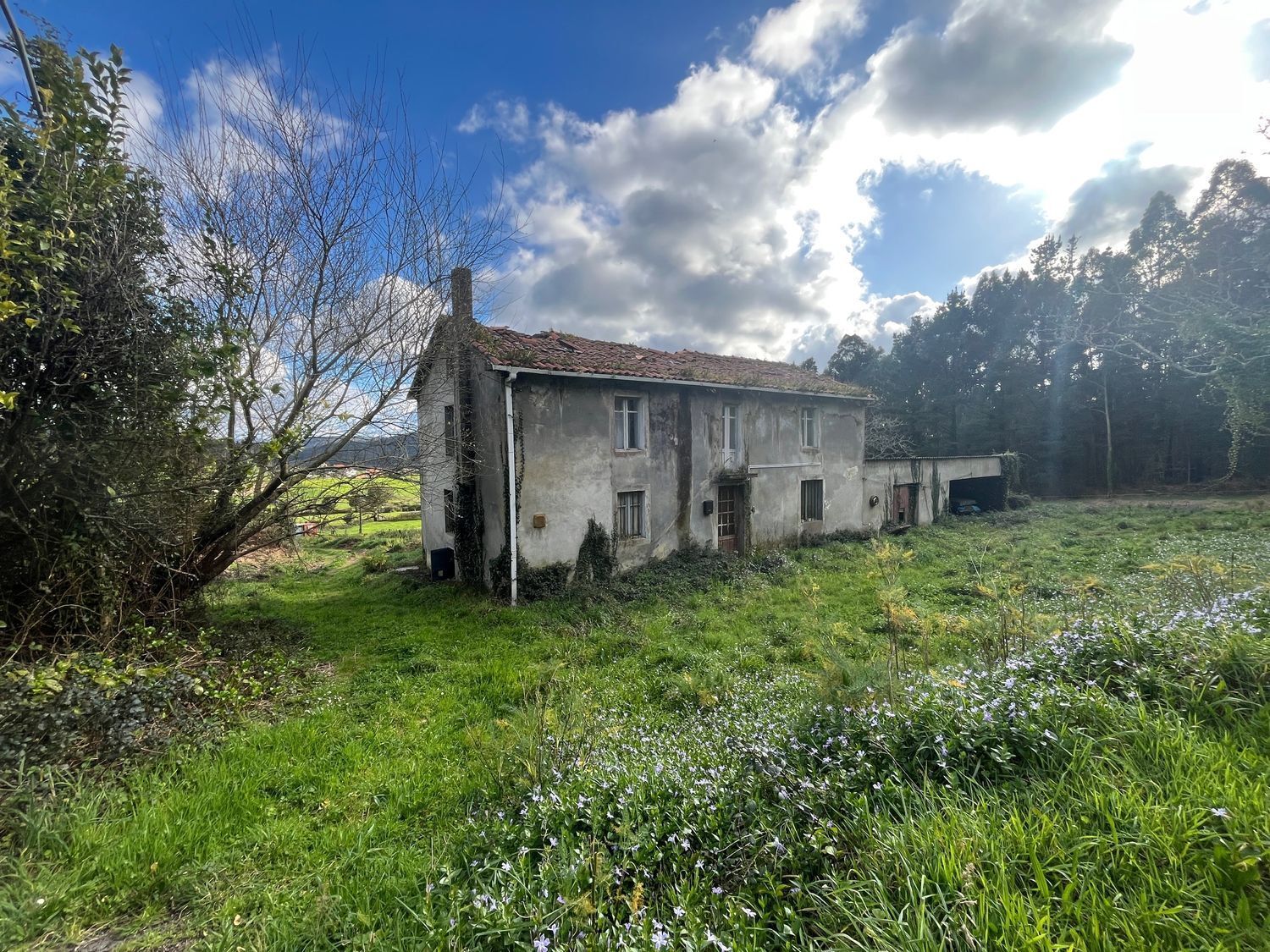 Casas o chalets-Venta-ValdoviÃ±o-2418287-Foto-6